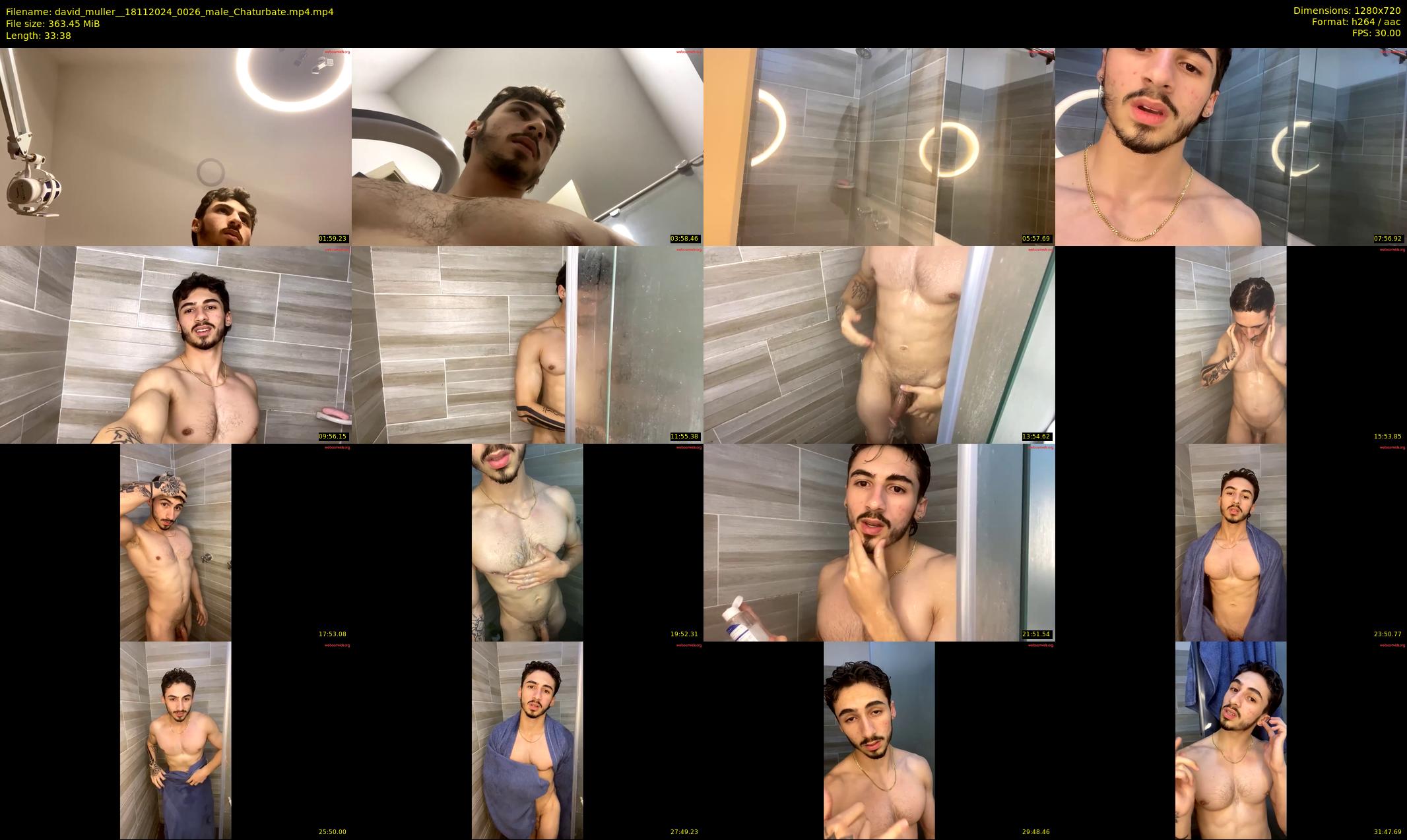 david_muller_ — 34 minute Chaturbate male cam show recording, 720p, Nov 18, 2024
