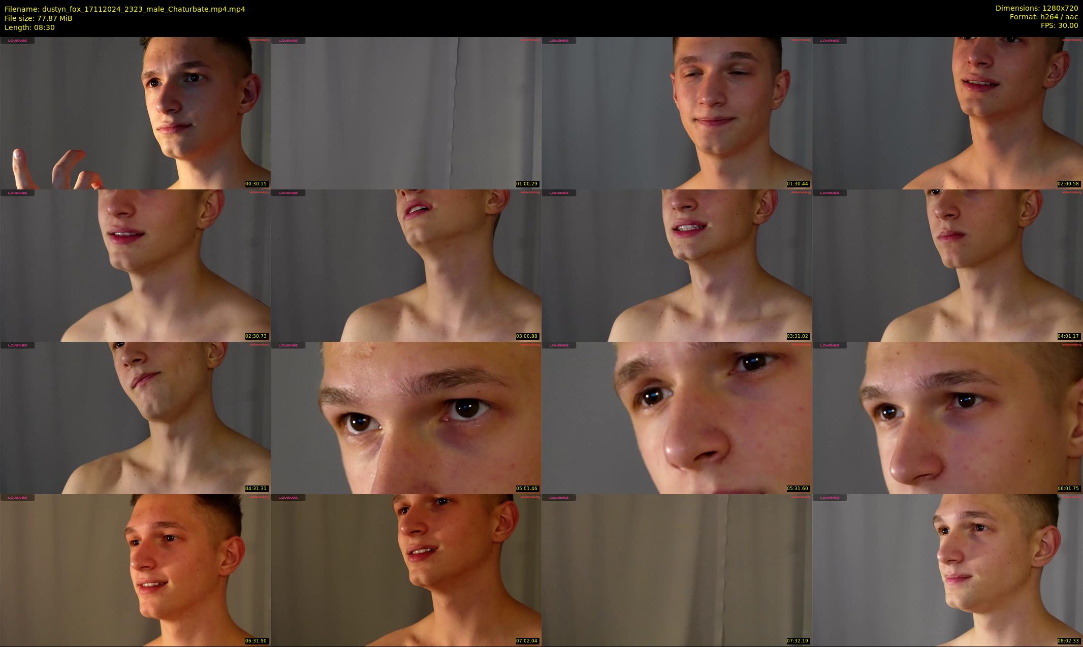dustyn_fox — 9 minute Chaturbate male cam show recording, 720p, Nov 17, 2024