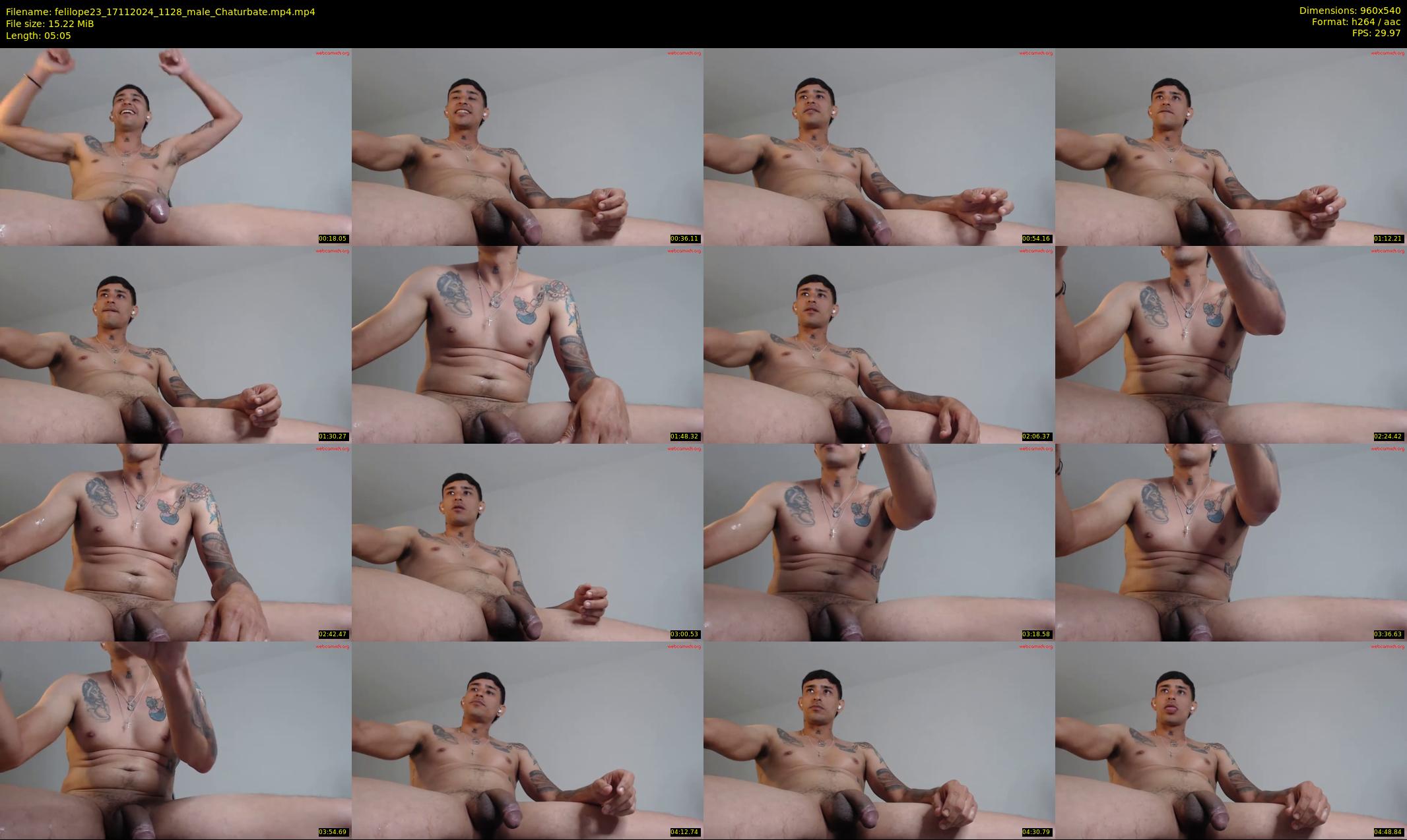 felilope23 — 6 minute Chaturbate male cam show recording, 480p, Nov 17, 2024