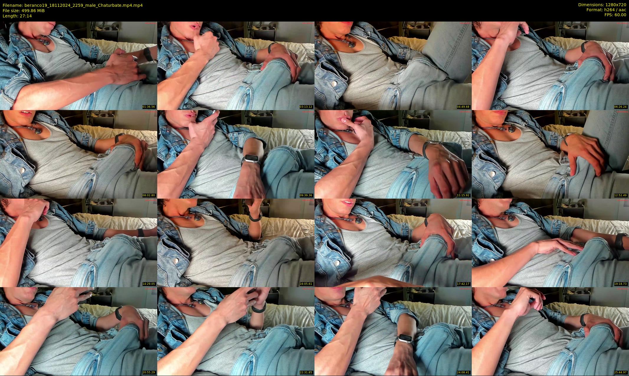 beranco19 — 28 minute Chaturbate male cam show recording, 720p, Nov 18, 2024