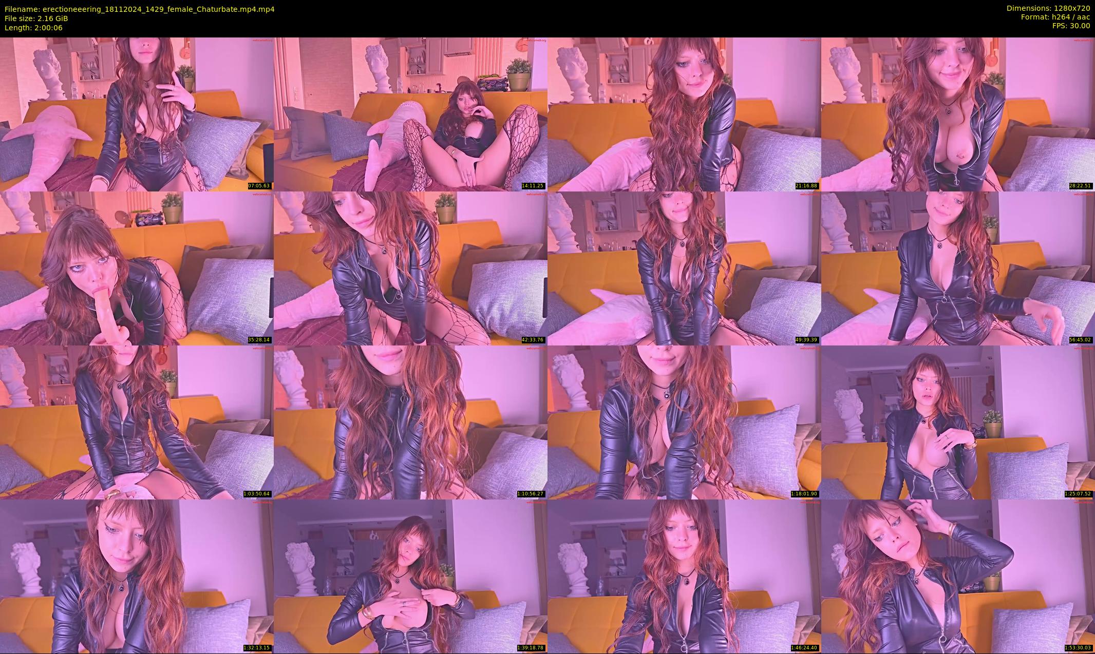 erectioneeering — 121 minute Chaturbate female cam show recording, 720p, Nov 18, 2024