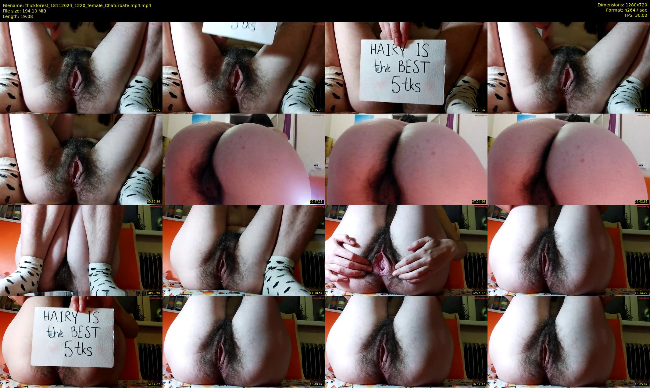 thickforest — 20 minute Chaturbate female cam show recording, 720p, Nov 18, 2024