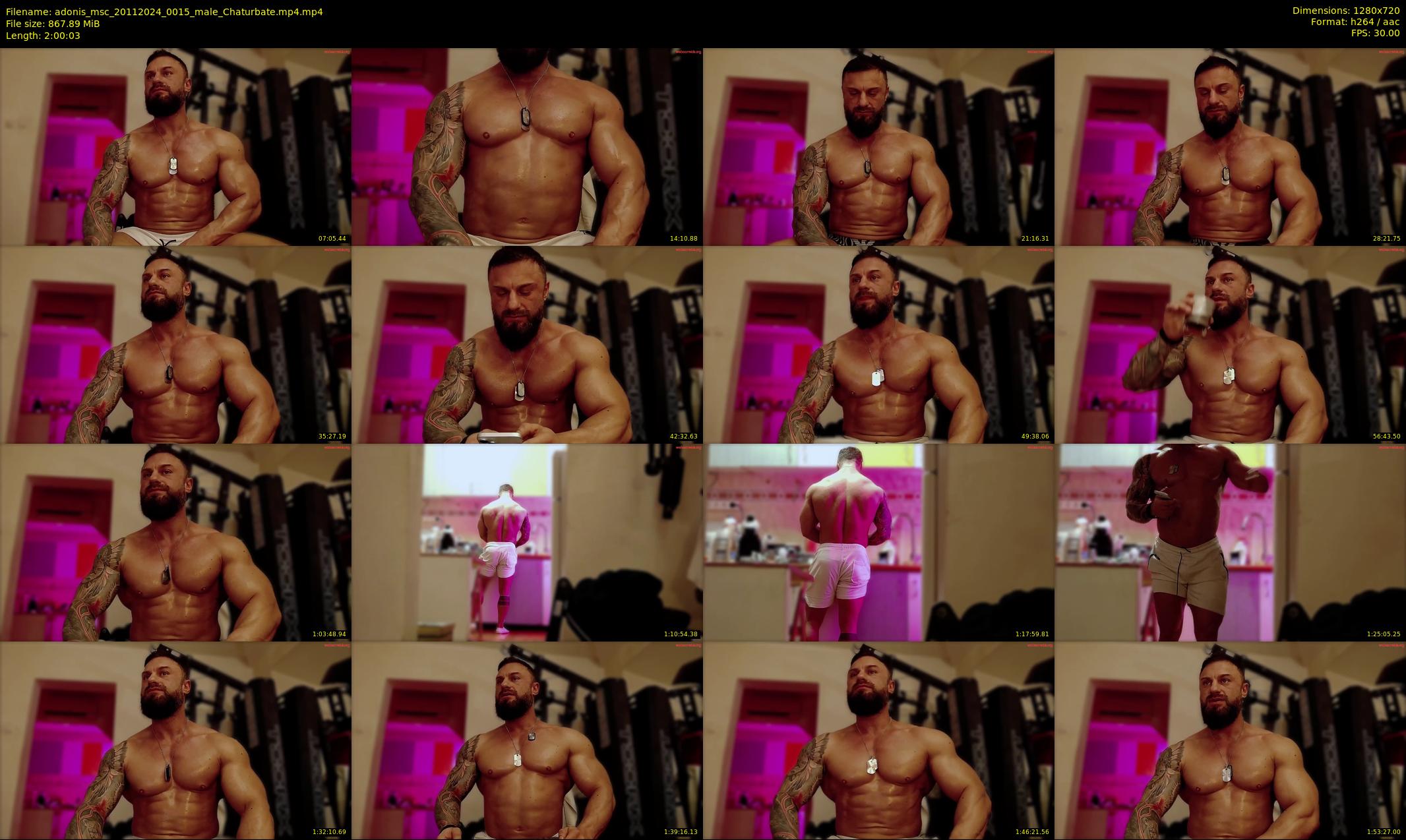 adonis_msc — 121 minute Chaturbate male cam show recording, 720p, Nov 20, 2024