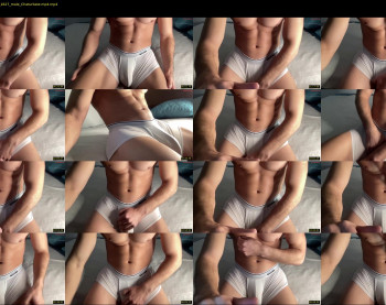 bestdick1991 — 8 minute Chaturbate male cam show recording, 720p, Nov 19, 2024