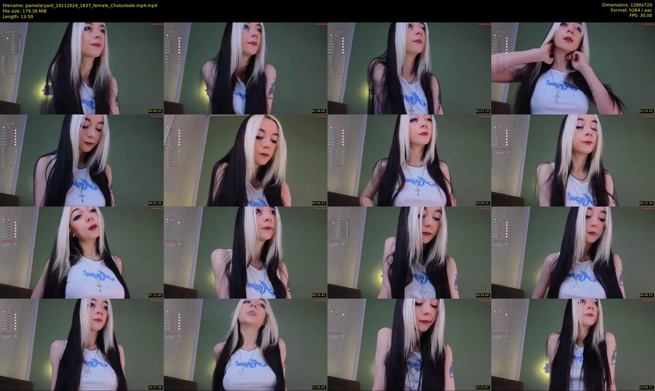 pamelaryant — 14 minute Chaturbate female cam show recording, 720p, Nov 19, 2024