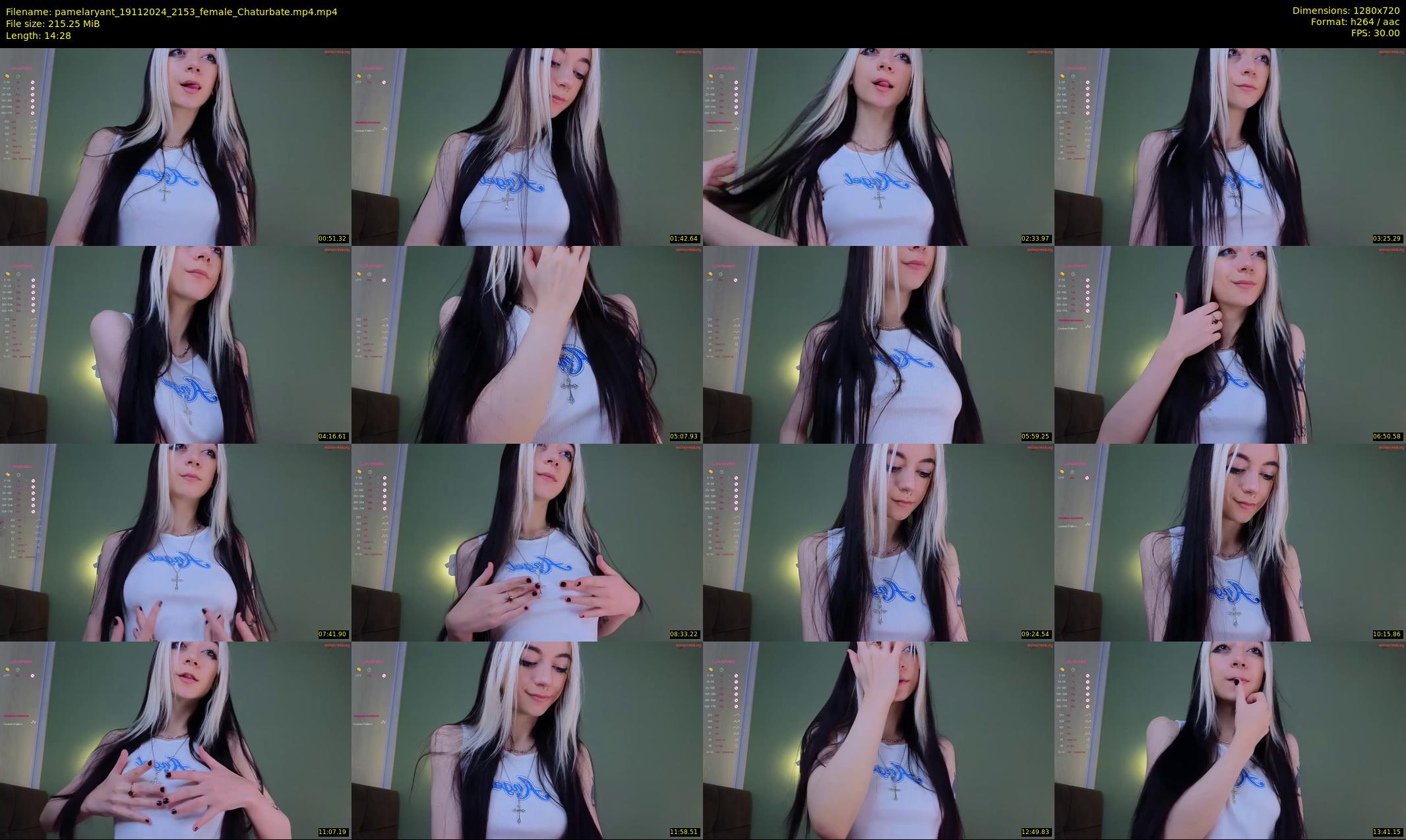 pamelaryant — 15 minute Chaturbate female cam show recording, 720p, Nov 19, 2024