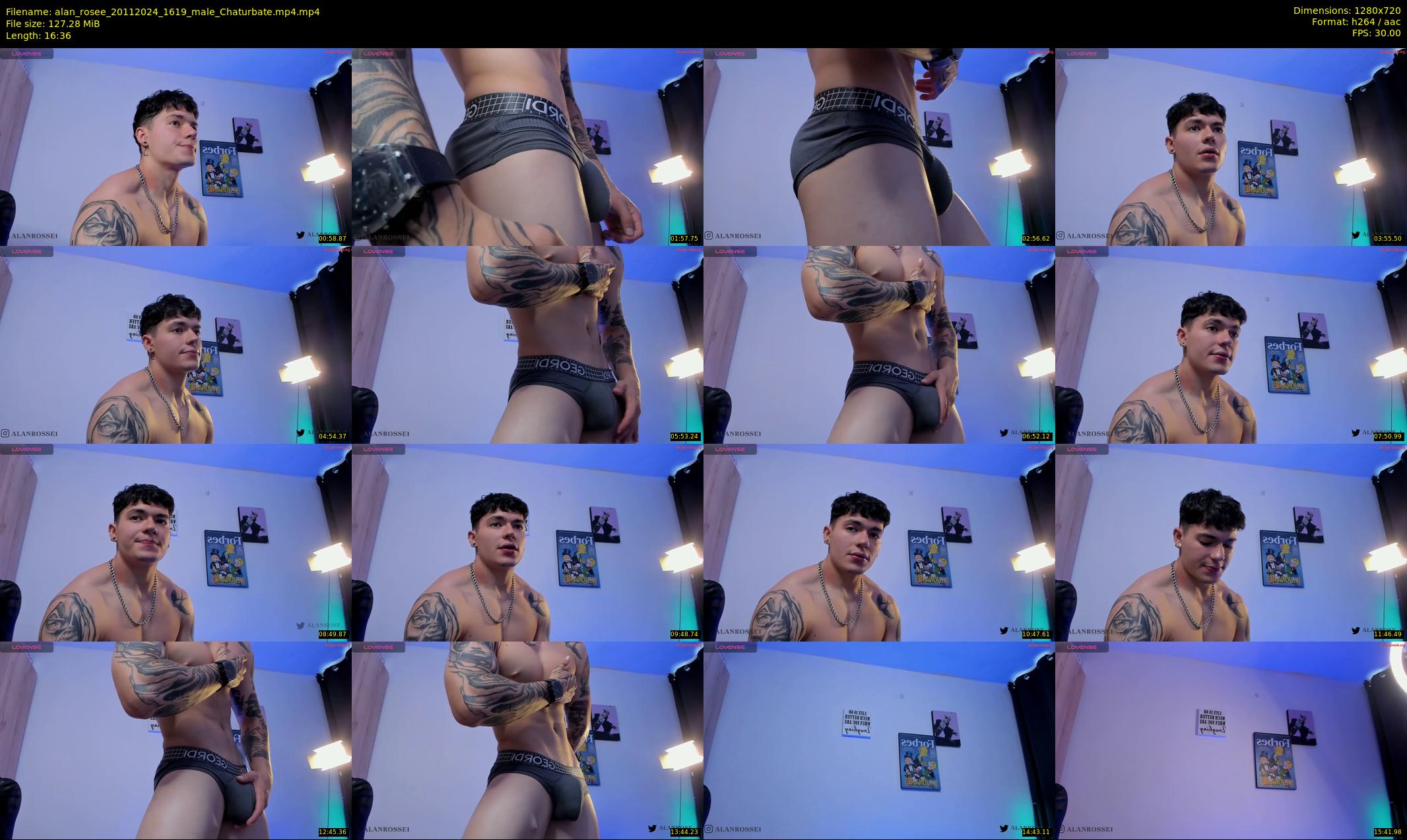 alan_rosee — 17 minute Chaturbate male cam show recording, 720p, Nov 20, 2024
