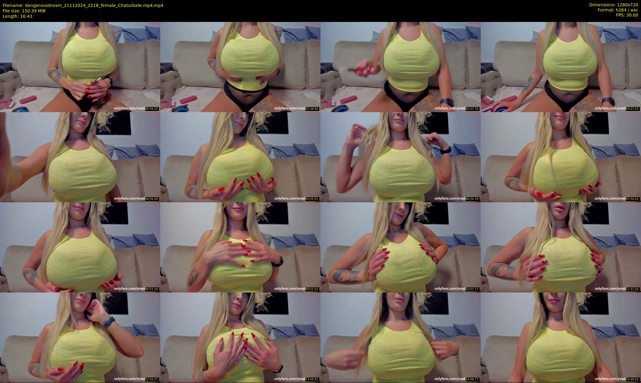 dangerousdream — 17 minute Chaturbate couple cam show recording, 720p, Nov 21, 2024