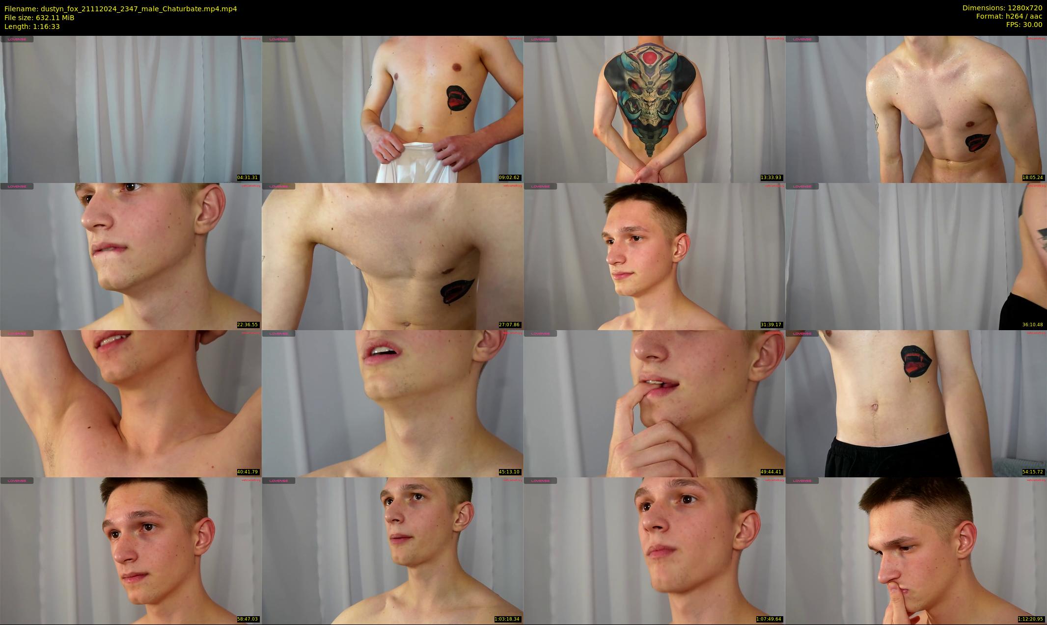 dustyn_fox — 77 minute Chaturbate male cam show recording, 720p, Nov 21, 2024