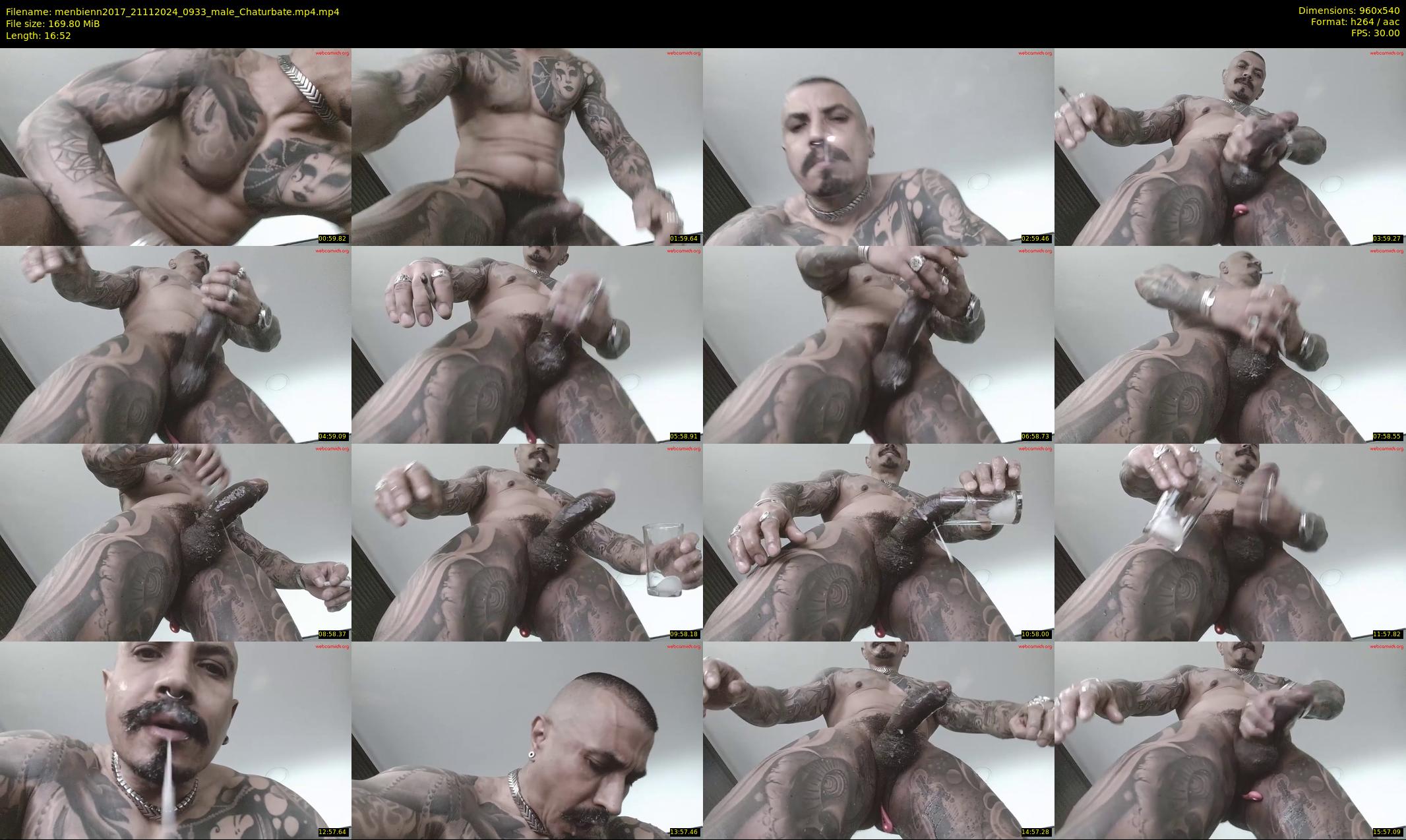 menbienn2017 — 17 minute Chaturbate male cam show recording, 480p, Nov 21, 2024
