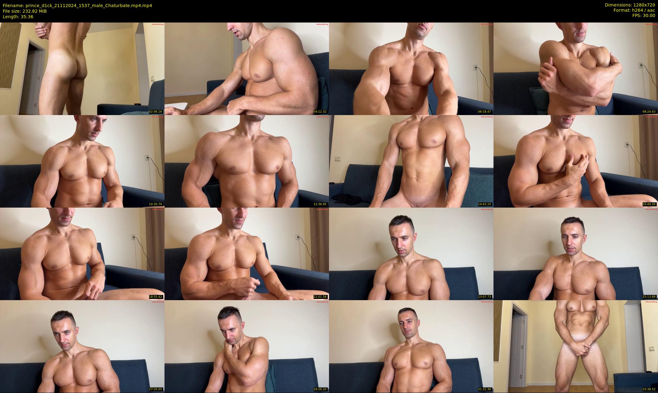 prince_d1ck — 36 minute Chaturbate male cam show recording, 720p, Nov 21, 2024