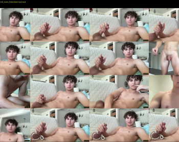 ryan287747 — 38 minute Chaturbate male cam show recording, 480p, Nov 21, 2024