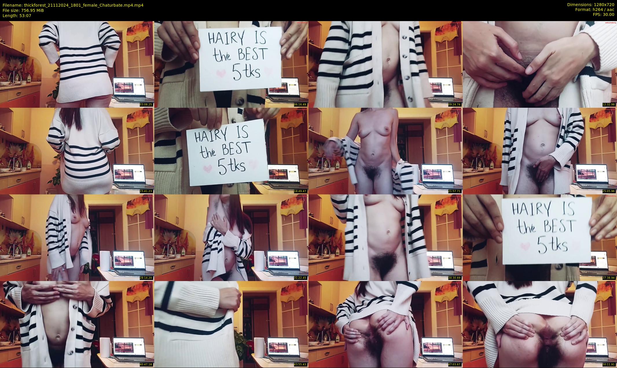 thickforest — 54 minute Chaturbate female cam show recording, 720p, Nov 21, 2024