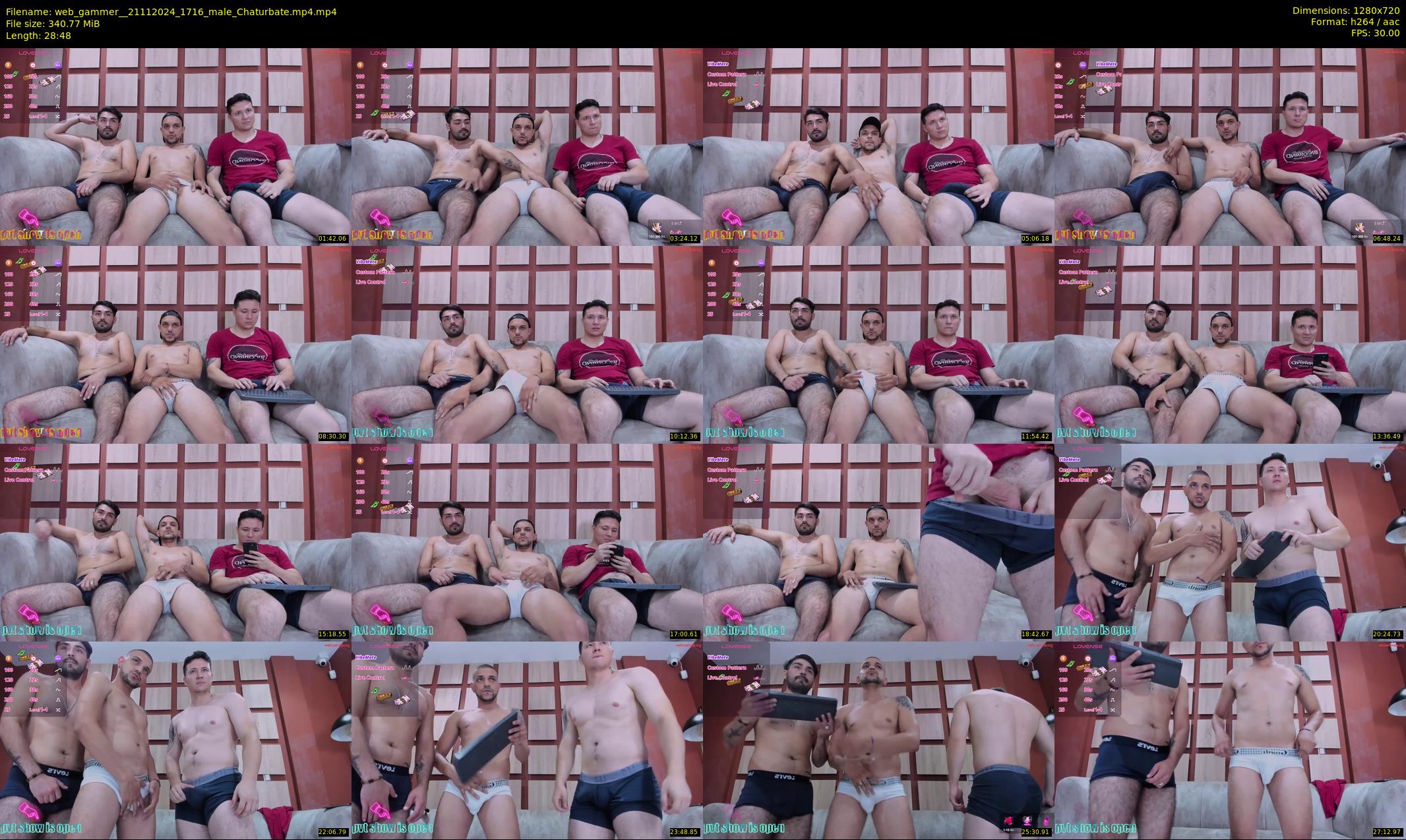 web_gammer_ — 29 minute Chaturbate male cam show recording, 720p, Nov 21, 2024
