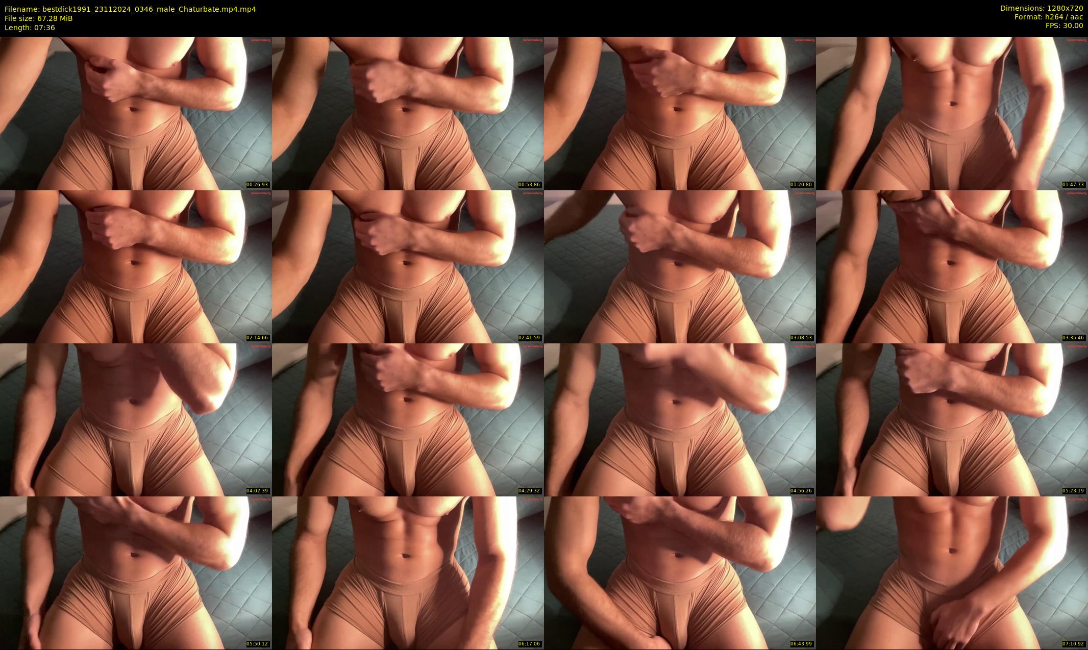 bestdick1991 — 8 minute Chaturbate male cam show recording, 720p, Nov 23, 2024