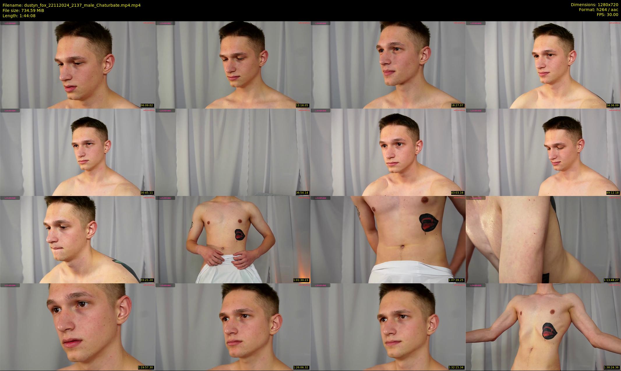 dustyn_fox — 105 minute Chaturbate male cam show recording, 720p, Nov 22, 2024