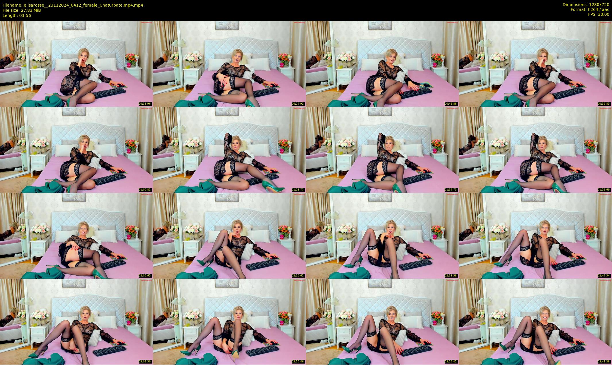 elisarosse_ — 4 minute Chaturbate female cam show recording, 720p, Nov 23, 2024