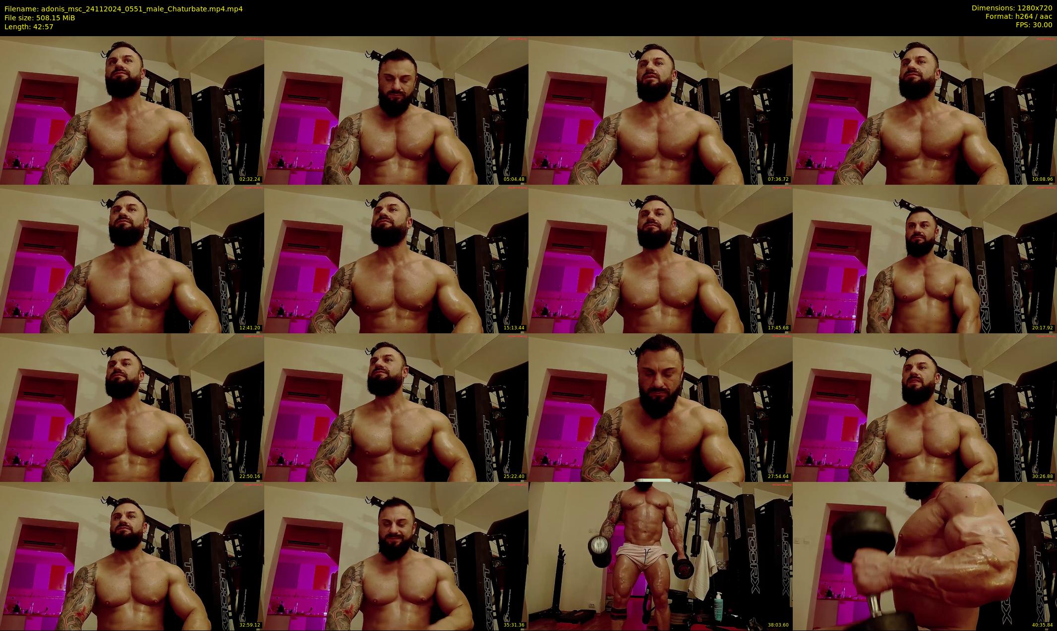 adonis_msc — 43 minute Chaturbate male cam show recording, 720p, Nov 24, 2024