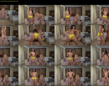 annemanifique — 22 minute Chaturbate female cam show recording, 720p, Nov 23, 2024