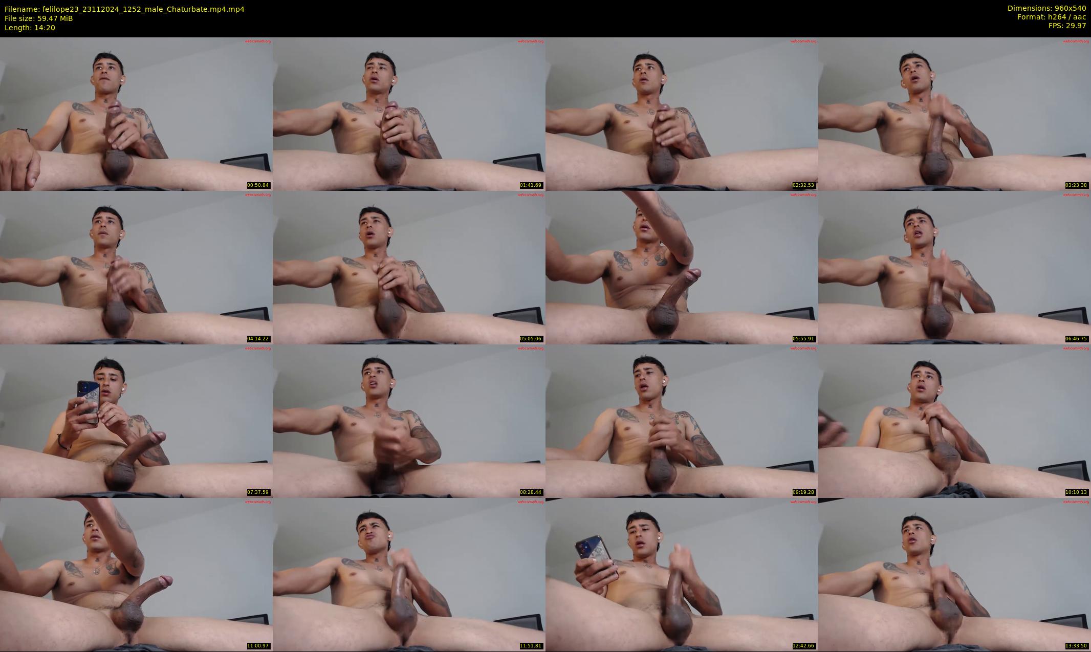 felilope23 — 15 minute Chaturbate male cam show recording, 480p, Nov 23, 2024