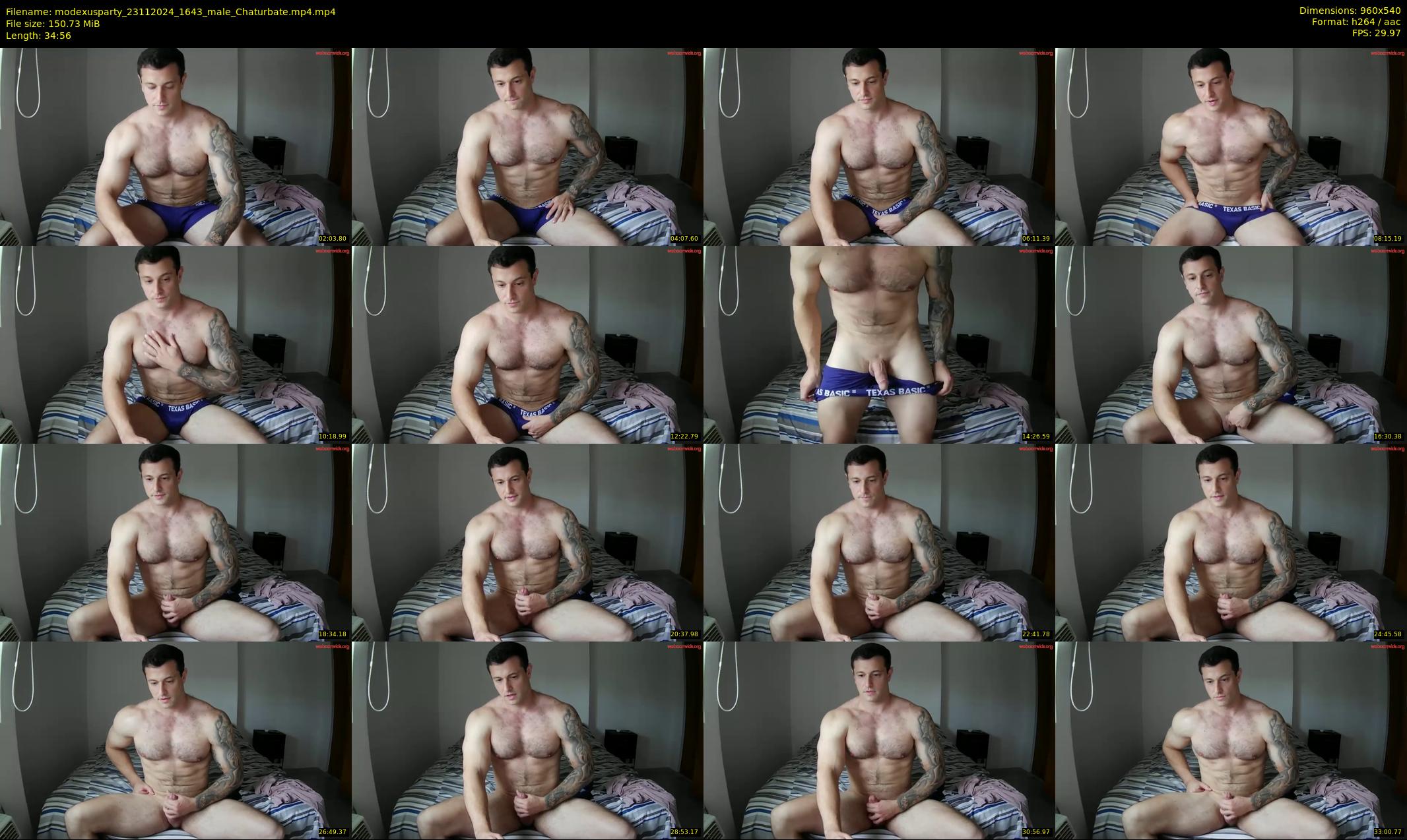 modexusparty — 35 minute Chaturbate male cam show recording, 480p, Nov 23, 2024