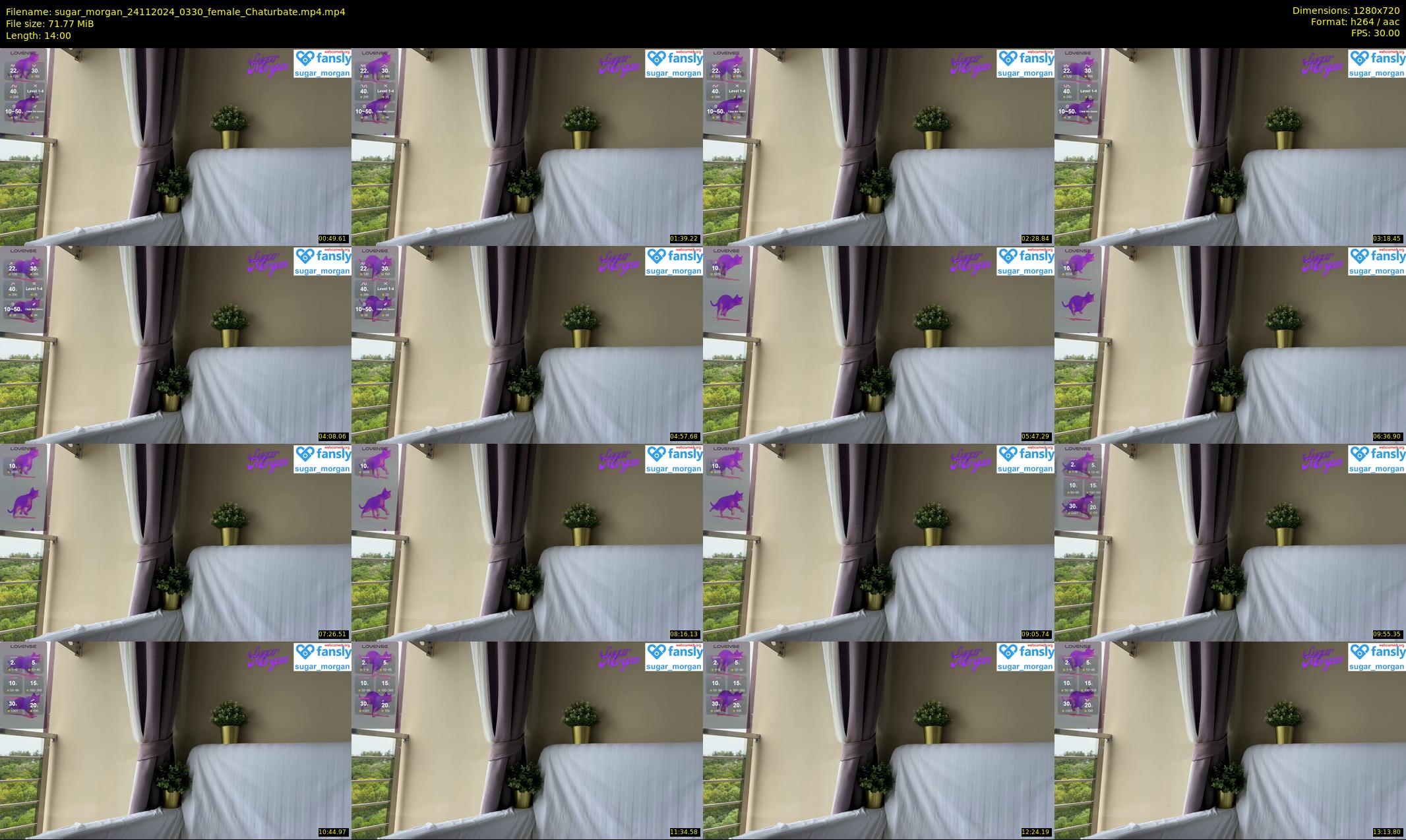 sugar_morgan — 14 minute Chaturbate female cam show recording, 720p, Nov 24, 2024