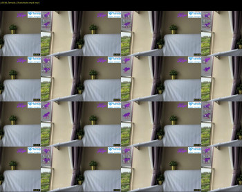 sugar_morgan — 14 minute Chaturbate female cam show recording, 720p, Nov 24, 2024