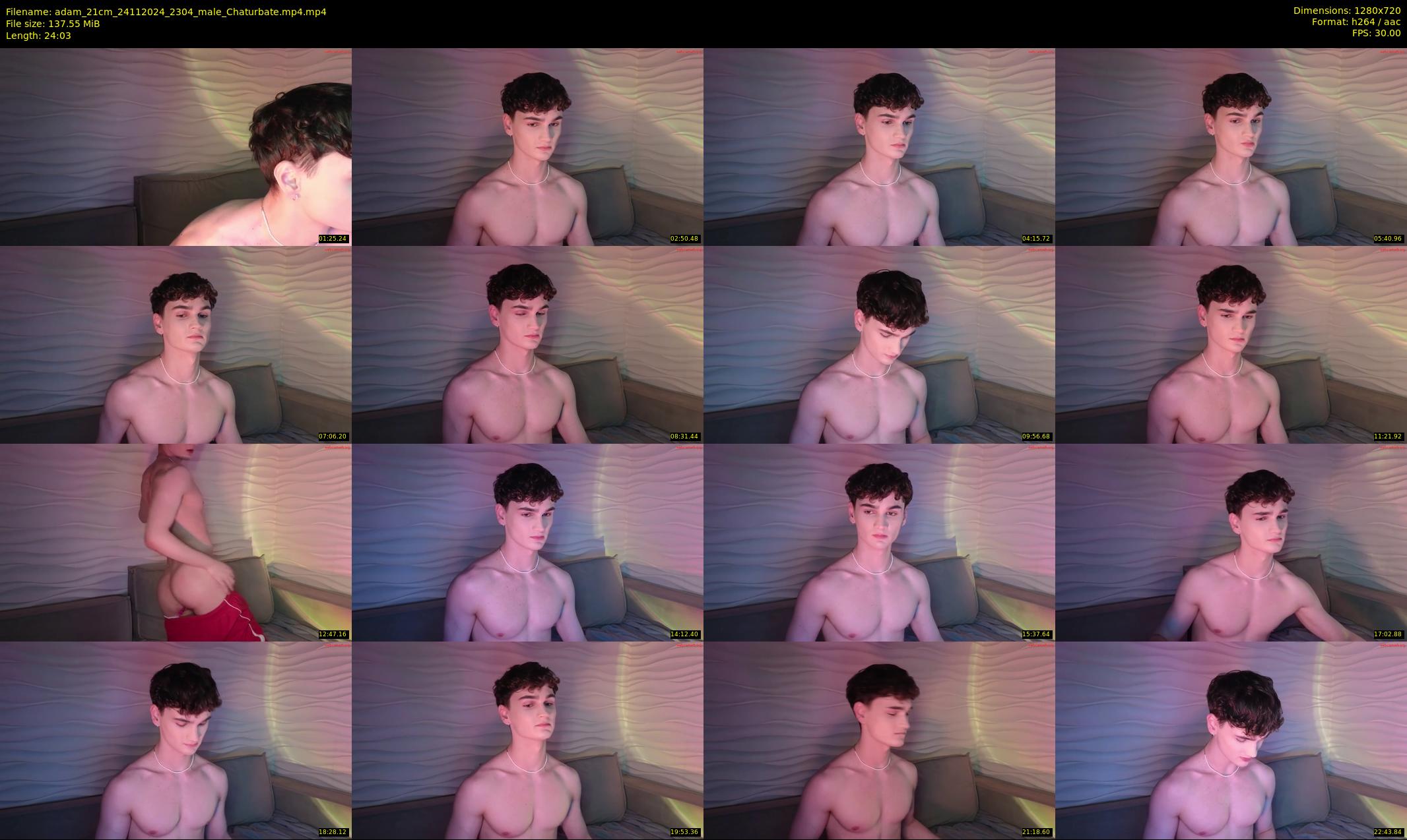 adam_21cm — 25 minute Chaturbate male cam show recording, 720p, Nov 24, 2024