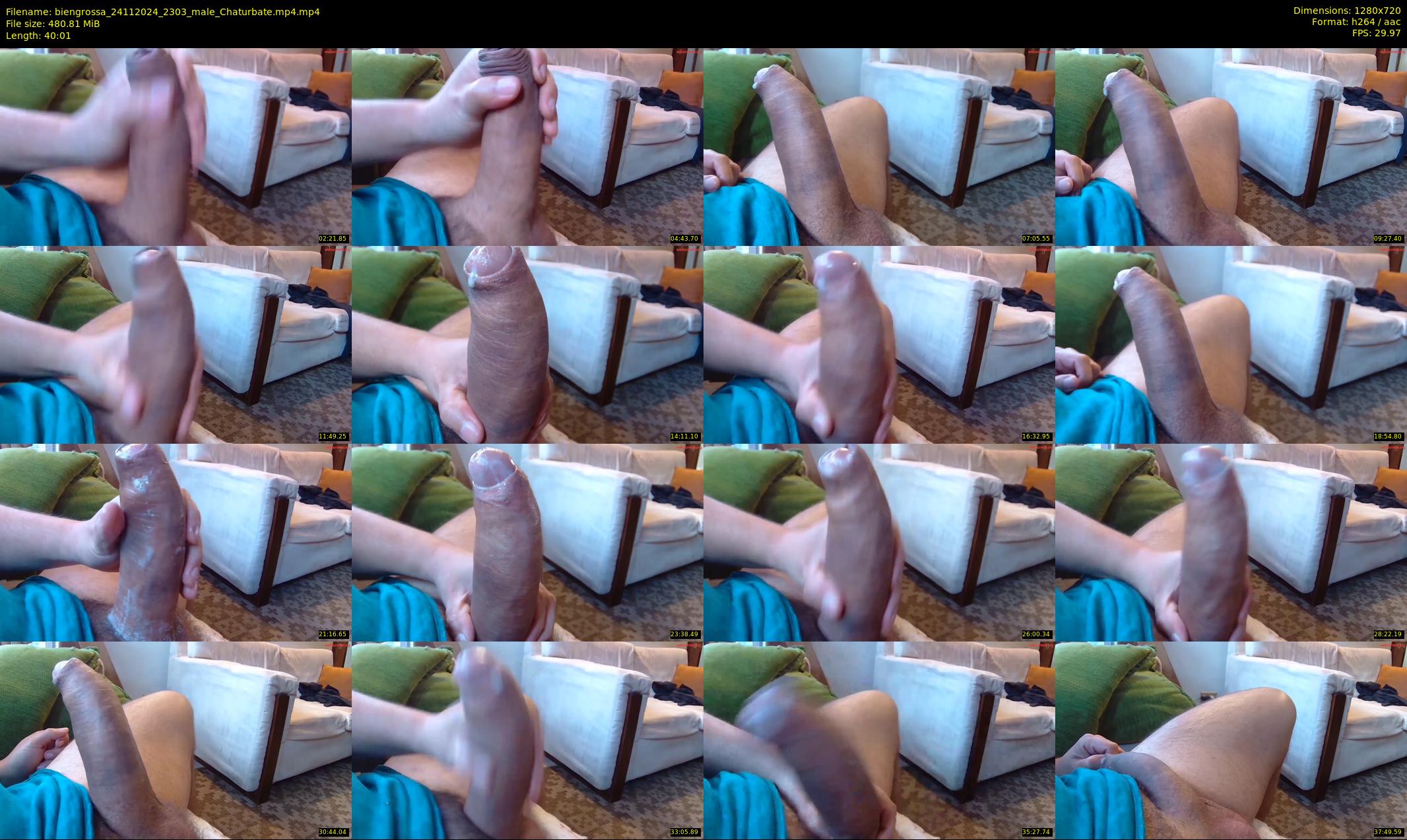 biengrossa — 41 minute Chaturbate male cam show recording, 720p, Nov 24, 2024
