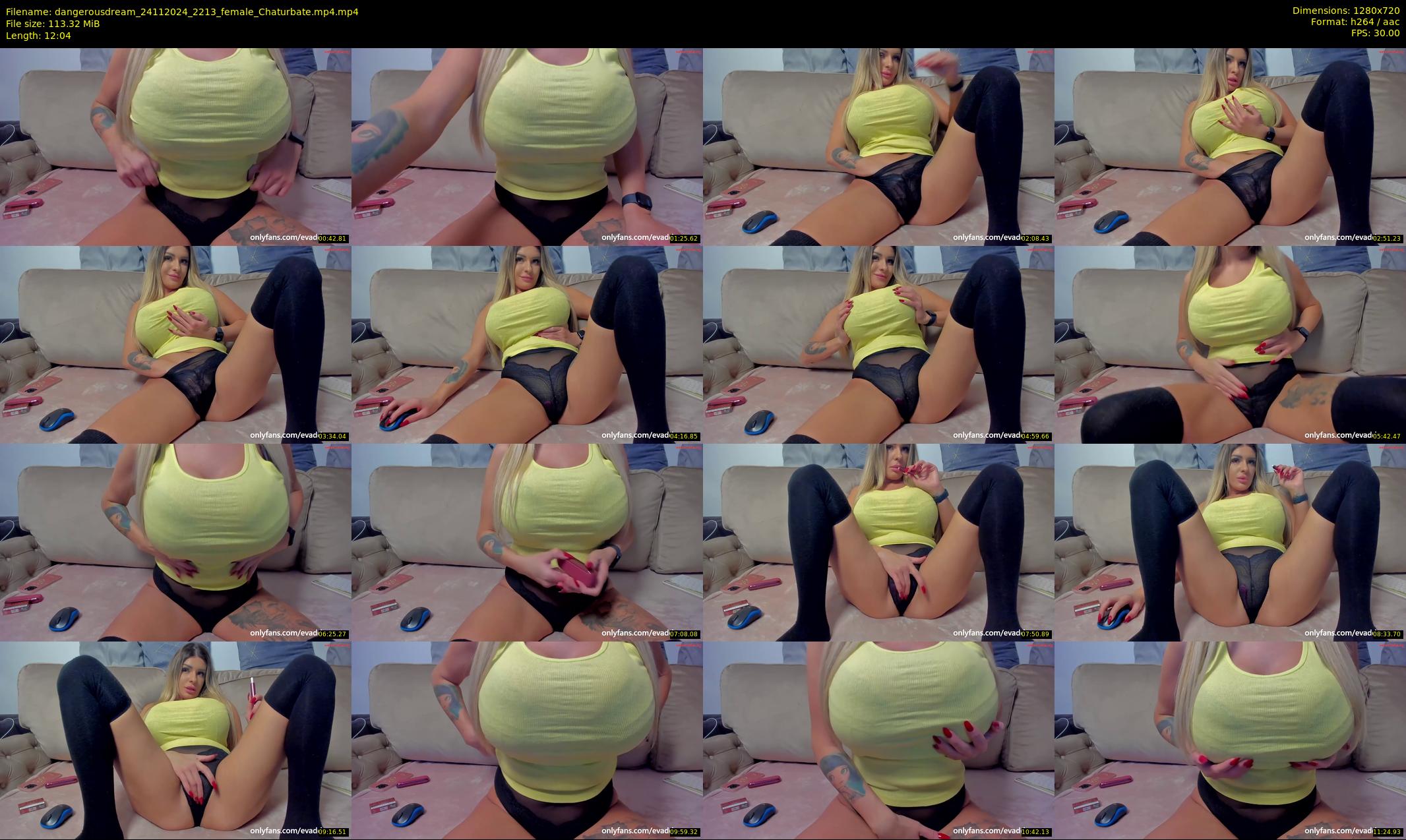 dangerousdream — 13 minute Chaturbate couple cam show recording, 720p, Nov 24, 2024