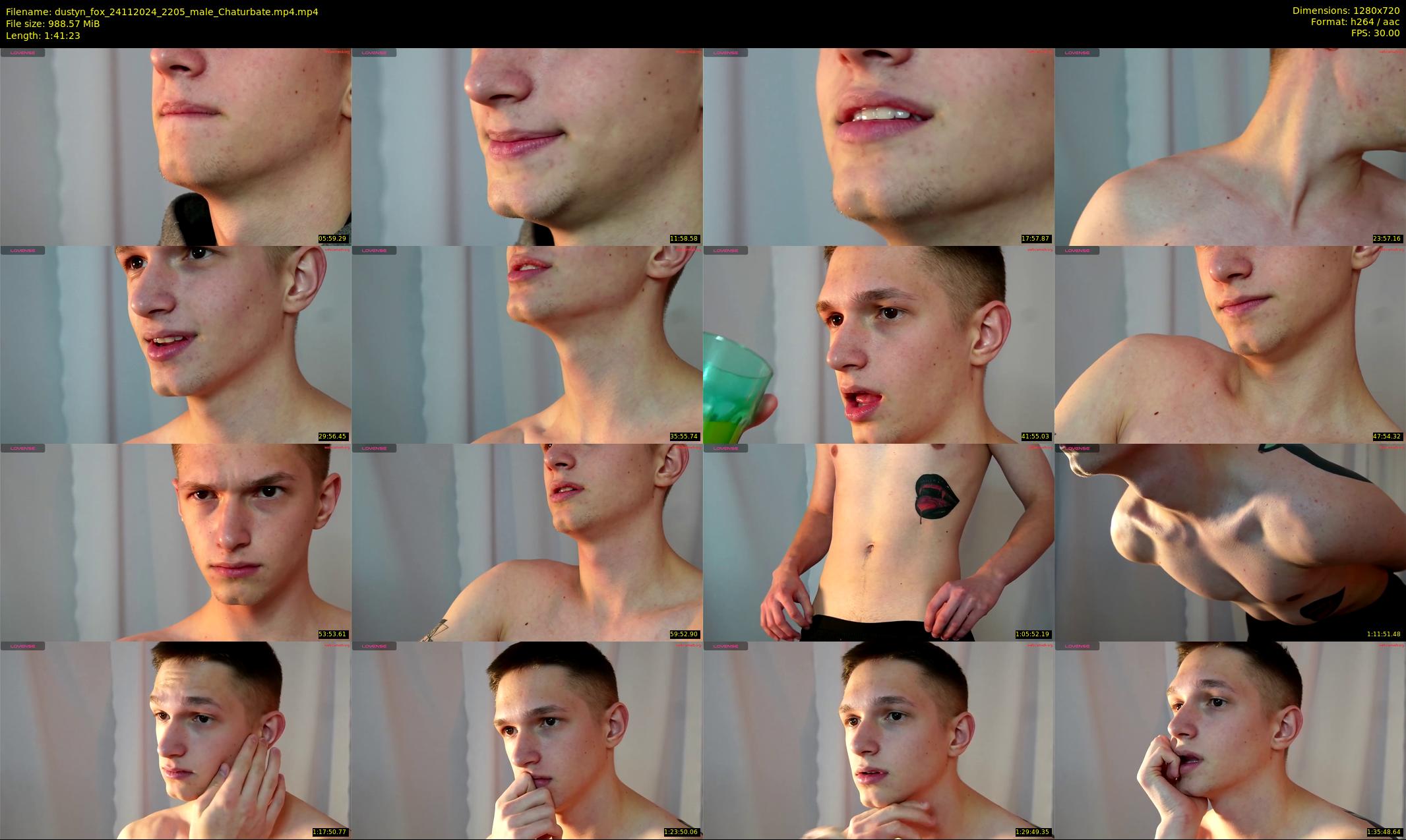 dustyn_fox — 102 minute Chaturbate male cam show recording, 720p, Nov 24, 2024