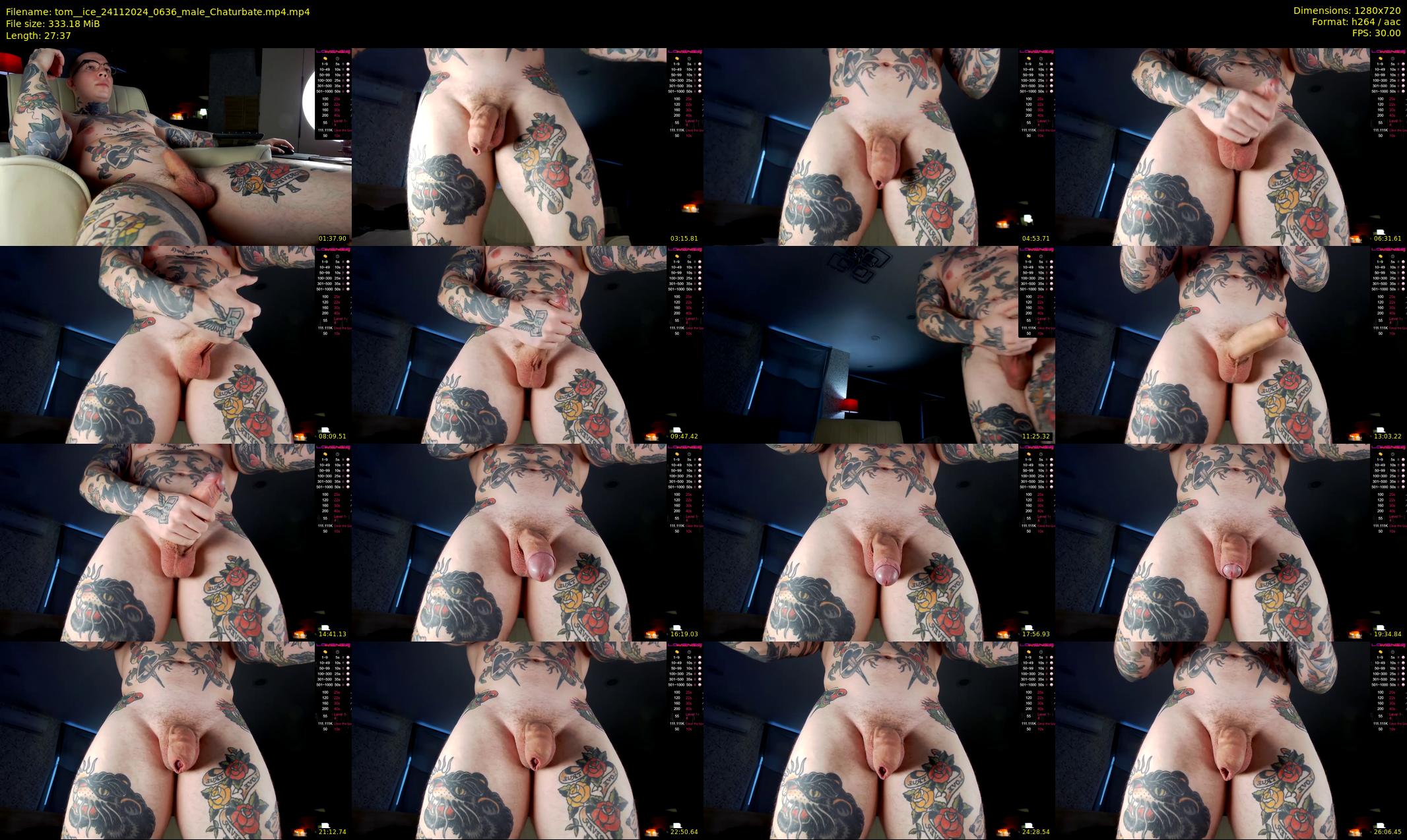 tom__ice — 28 minute Chaturbate male cam show recording, 720p, Nov 24, 2024