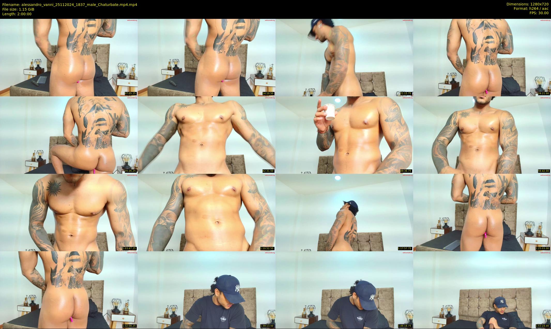 alessandro_vanni — 120 minute Chaturbate male cam show recording, 720p, Nov 25, 2024