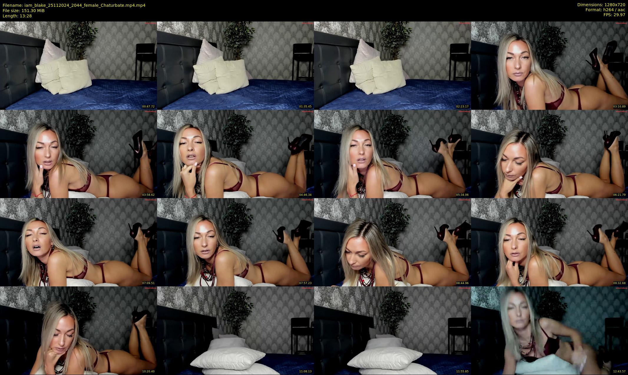 iam_blake — 14 minute Chaturbate female cam show recording, 720p, Nov 25, 2024
