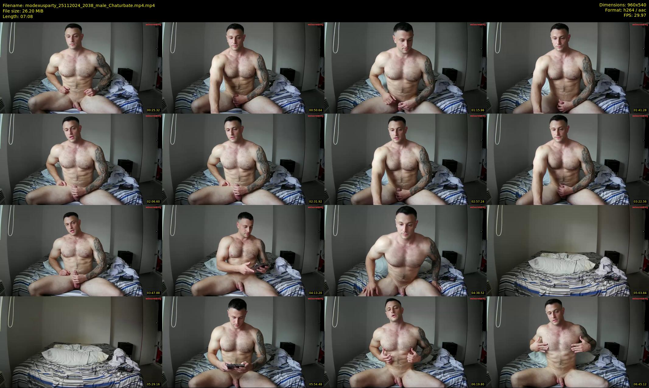 modexusparty — 8 minute Chaturbate male cam show recording, 480p, Nov 25, 2024