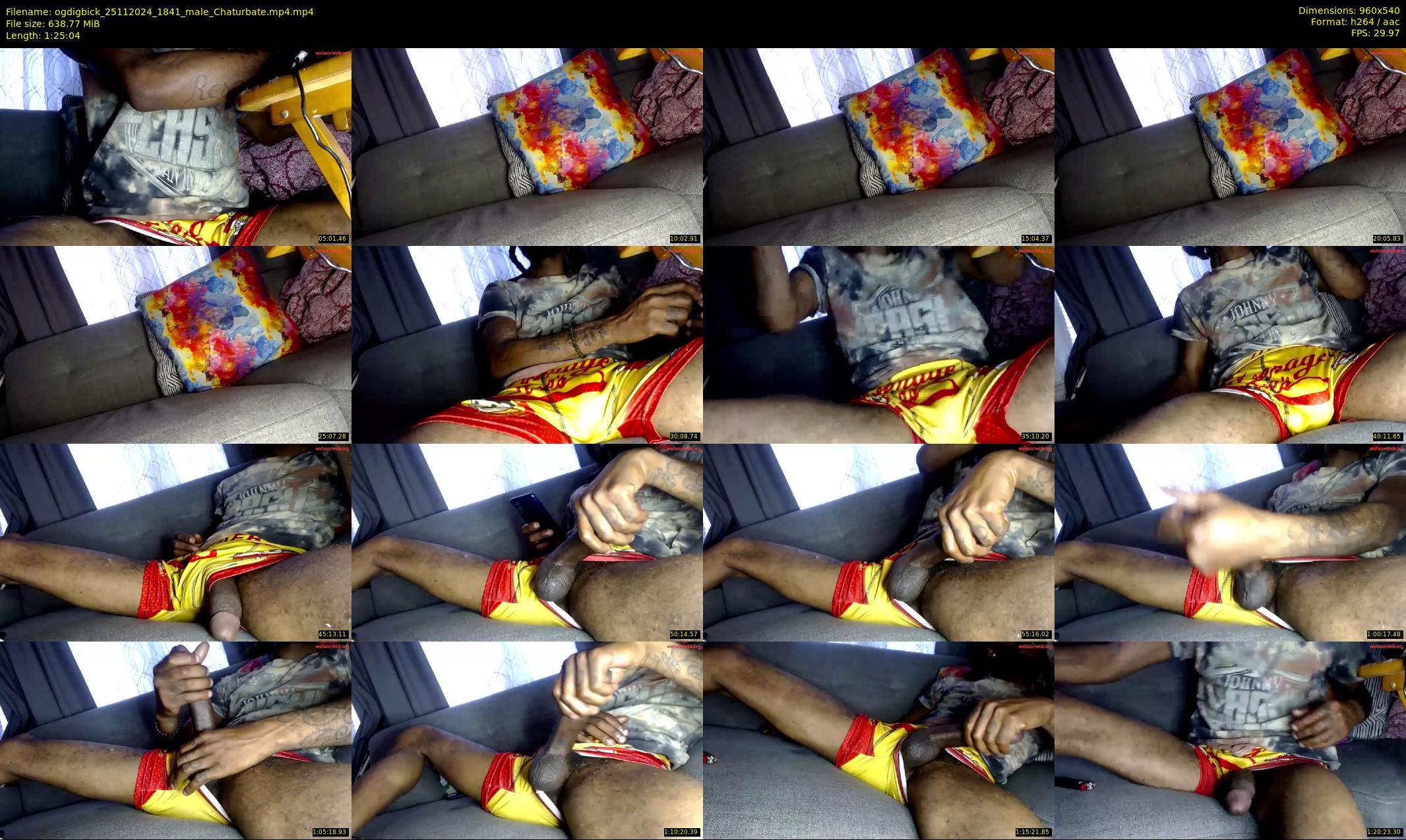 ogdigbick — 86 minute Chaturbate male cam show recording, 480p, Nov 25, 2024