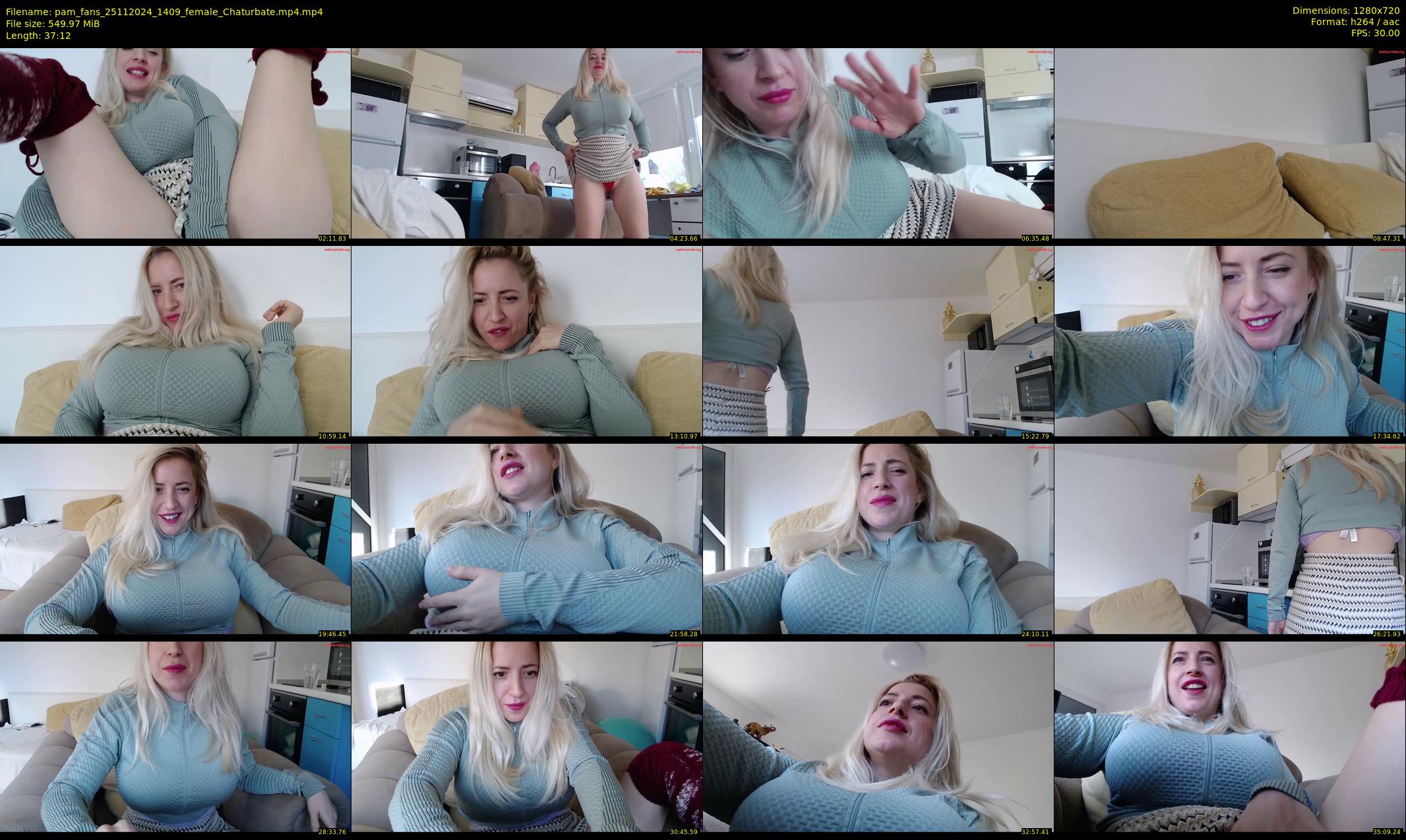 pam_fans — 38 minute Chaturbate female cam show recording, 720p, Nov 25, 2024