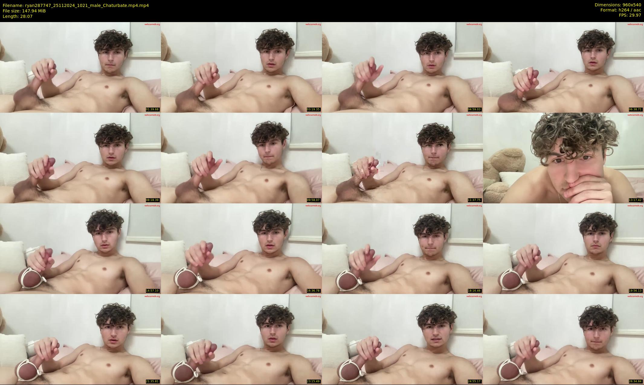 ryan287747 — 29 minute Chaturbate male cam show recording, 480p, Nov 25, 2024