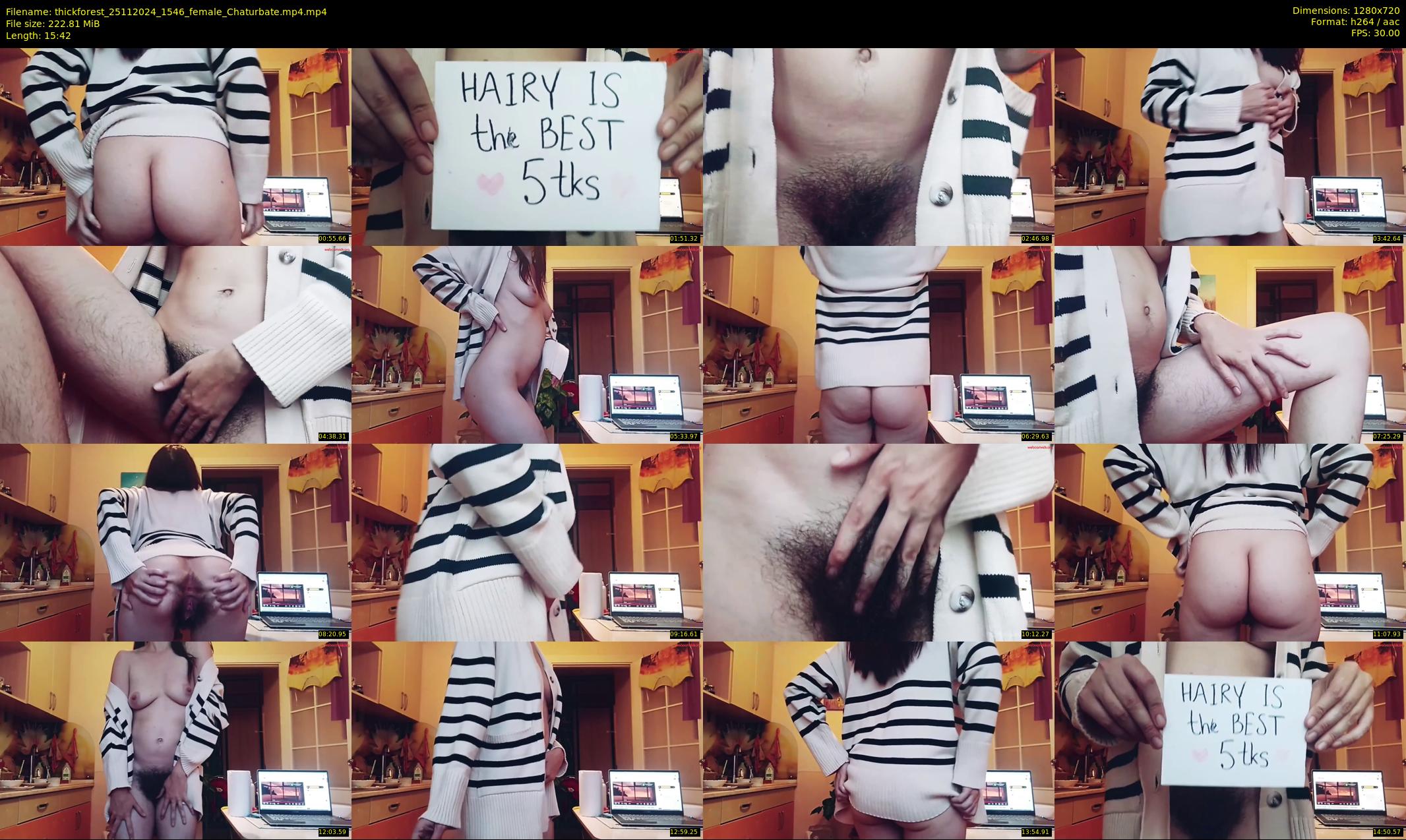 thickforest — 16 minute Chaturbate female cam show recording, 720p, Nov 25, 2024