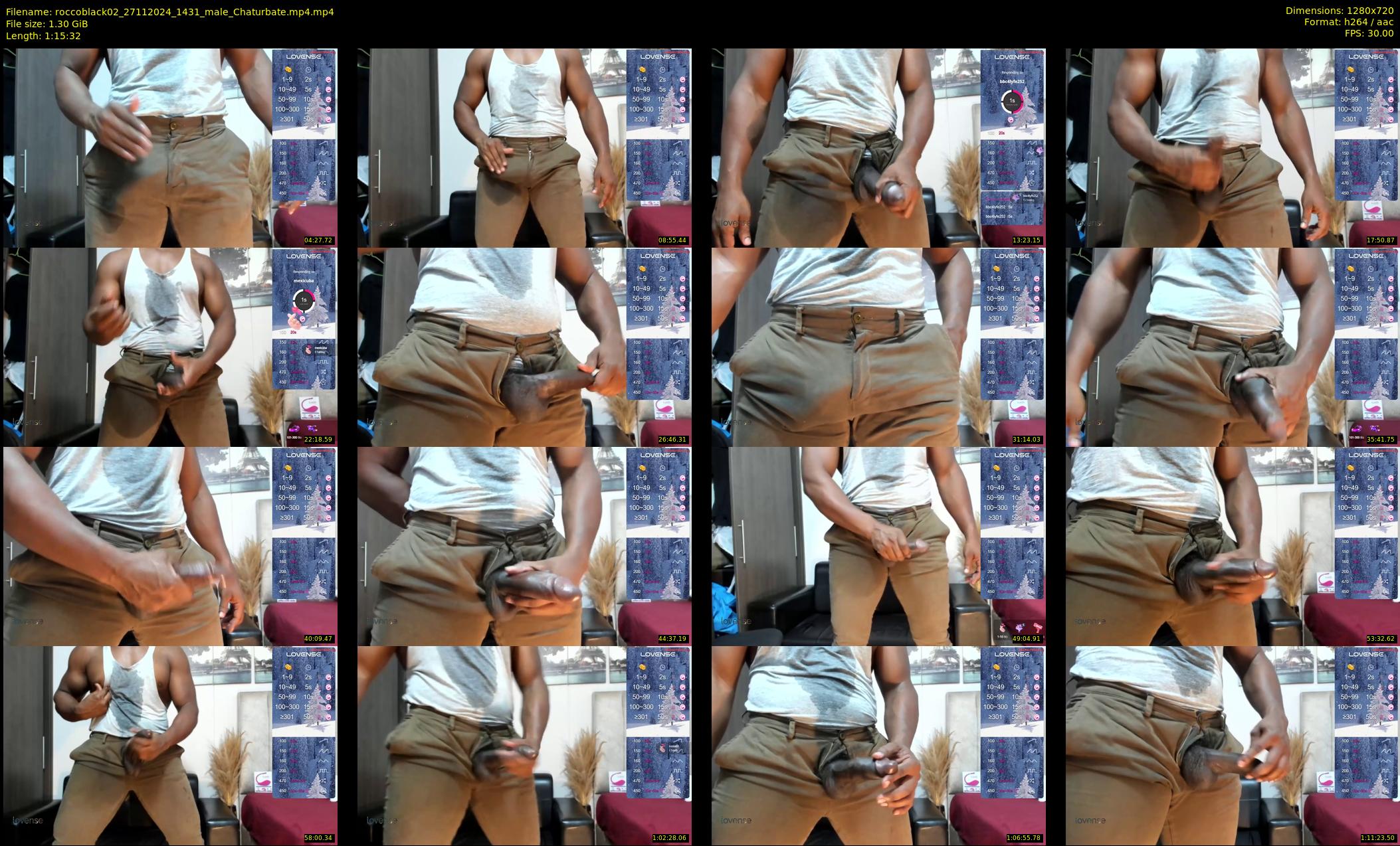 roccoblack02 — 76 minute Chaturbate male cam show recording, 720p, Nov 27, 2024
