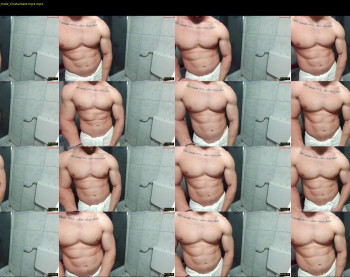 advp69 — 33 minute Chaturbate male cam show recording, 480p, Nov 28, 2024