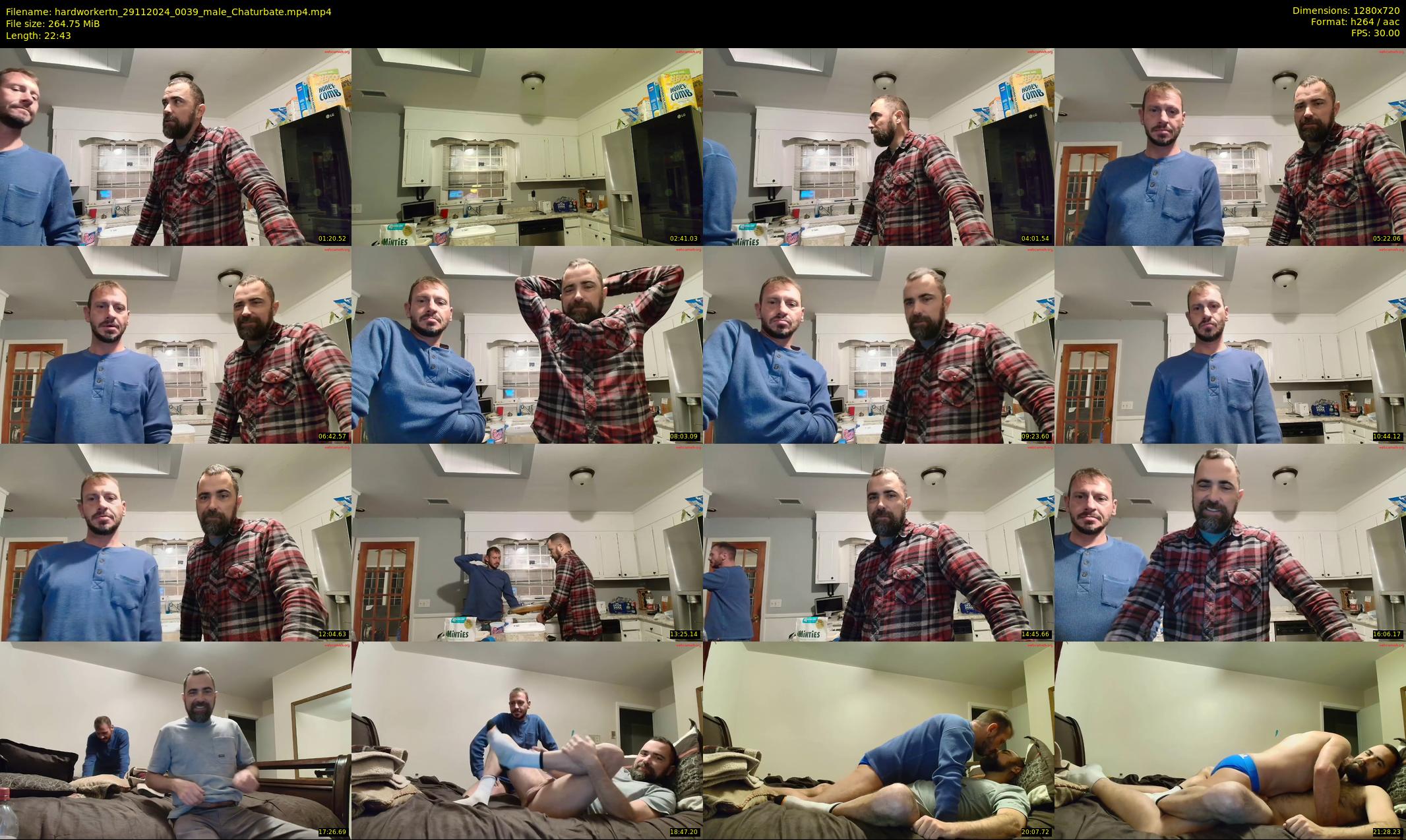 hardworkertn — 23 minute Chaturbate male cam show recording, 720p, Nov 29, 2024