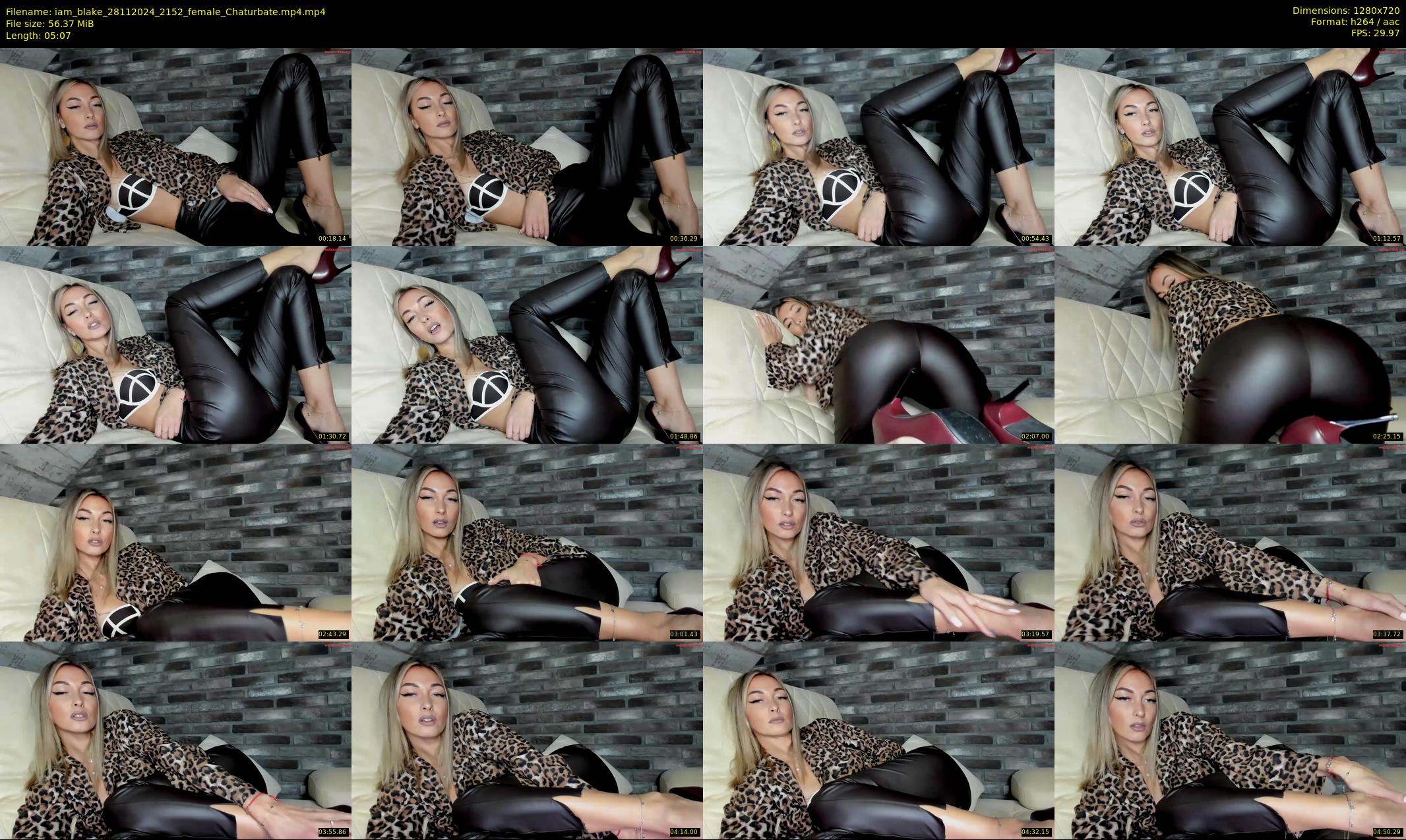 iam_blake — 6 minute Chaturbate female cam show recording, 720p, Nov 28, 2024