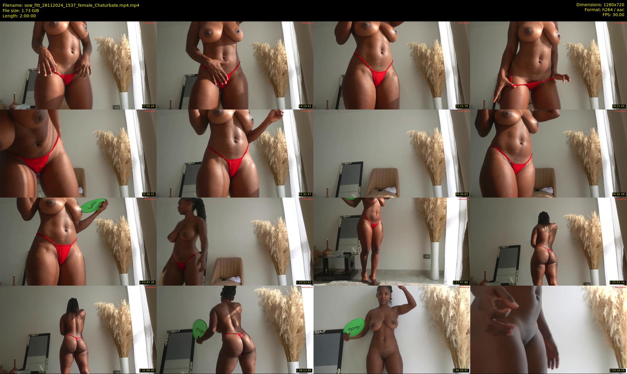 sow_fitt — 120 minute Chaturbate female cam show recording, 720p, Nov 28, 2024