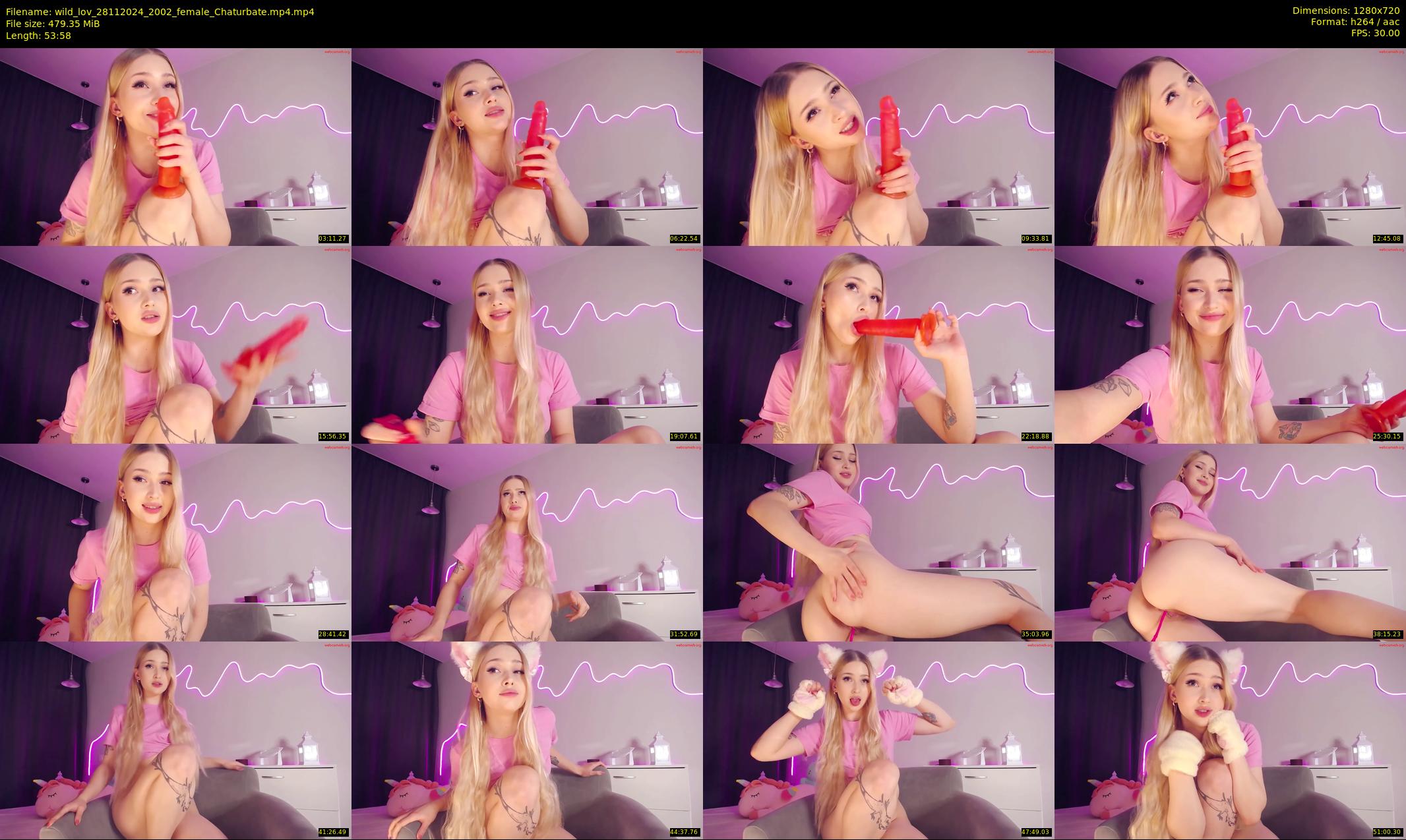 wild_lov — 54 minute Chaturbate female cam show recording, 720p, Nov 28, 2024