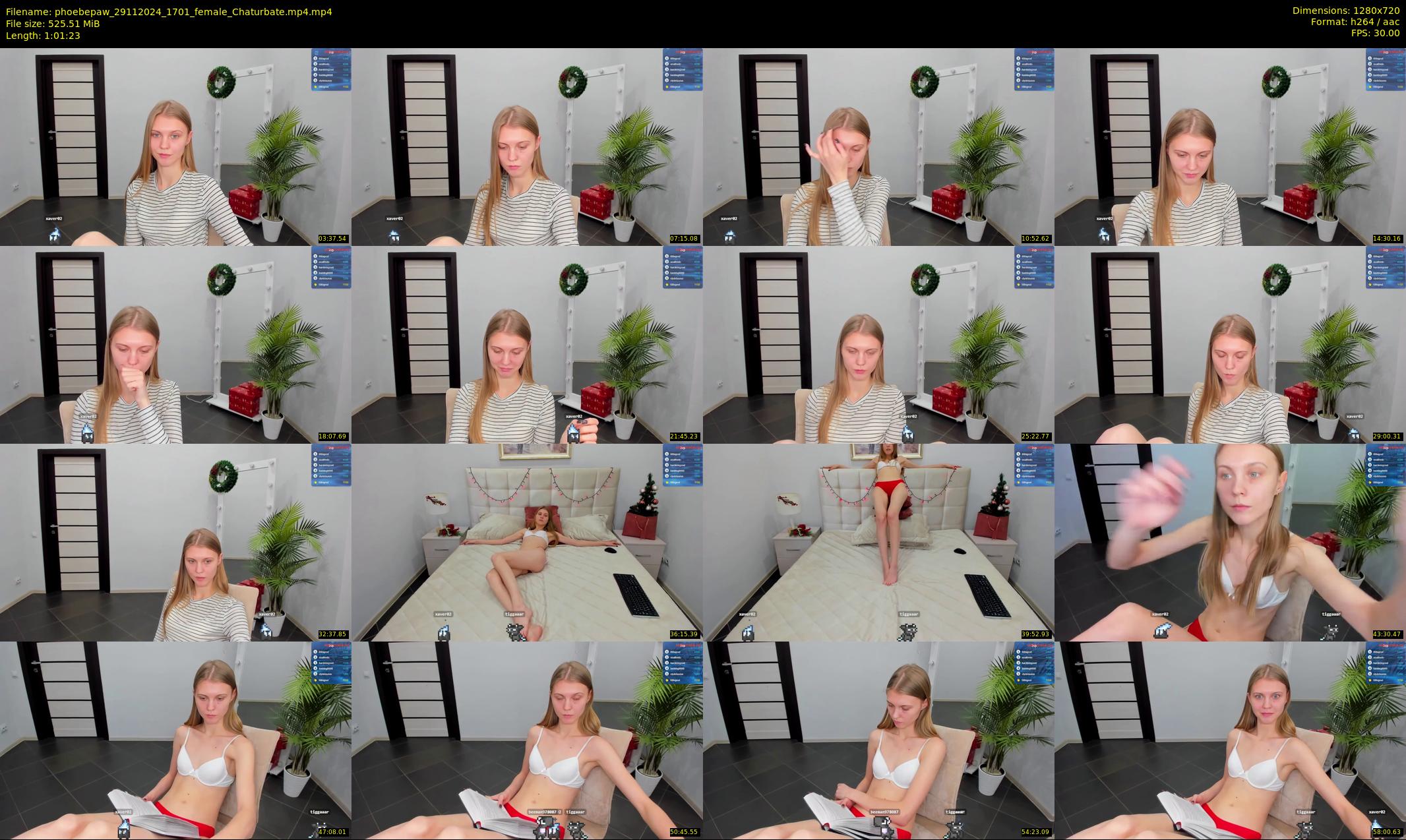 phoebepaw — 62 minute Chaturbate female cam show recording, 720p, Nov 29, 2024