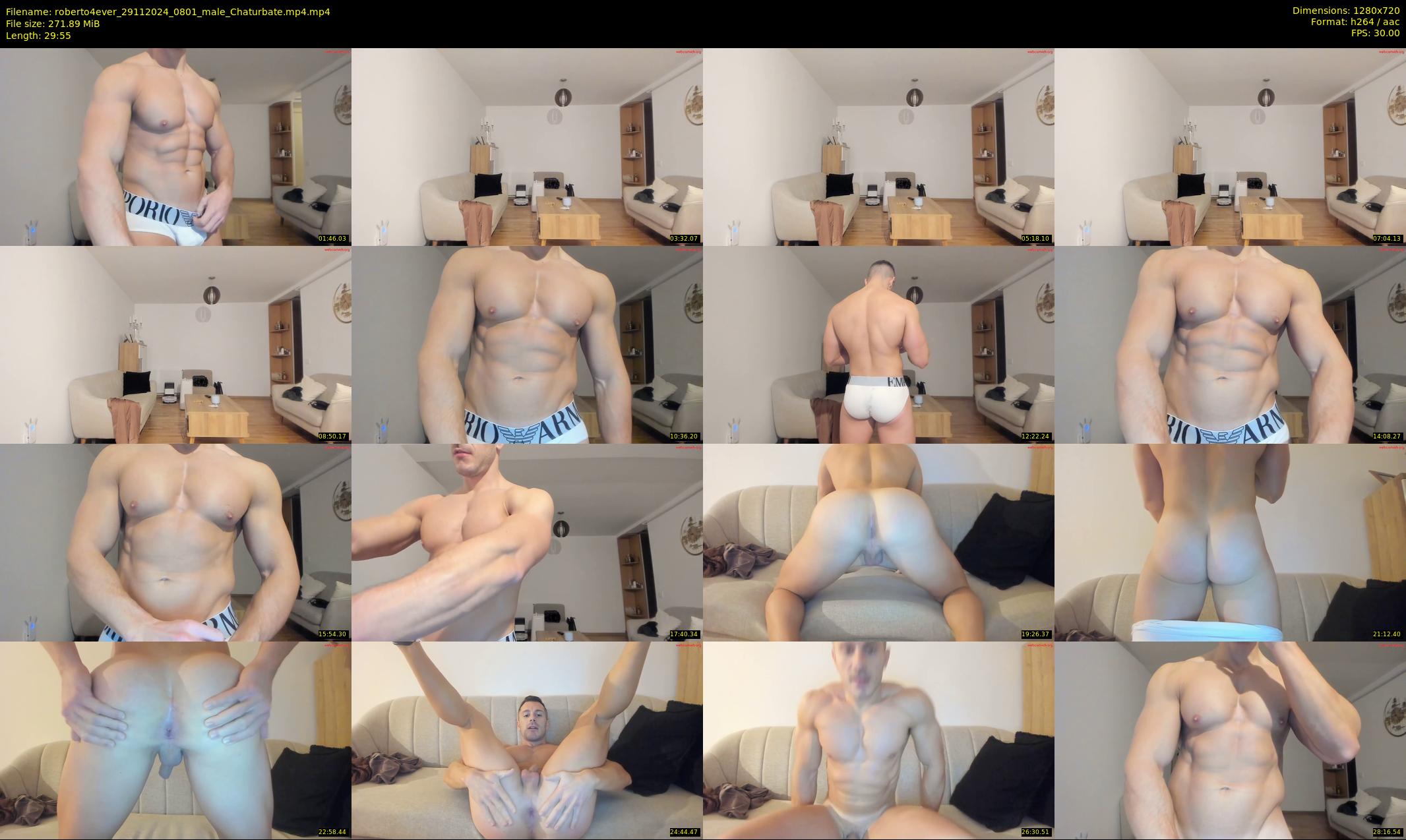 roberto4ever — 30 minute Chaturbate male cam show recording, 720p, Nov 29, 2024