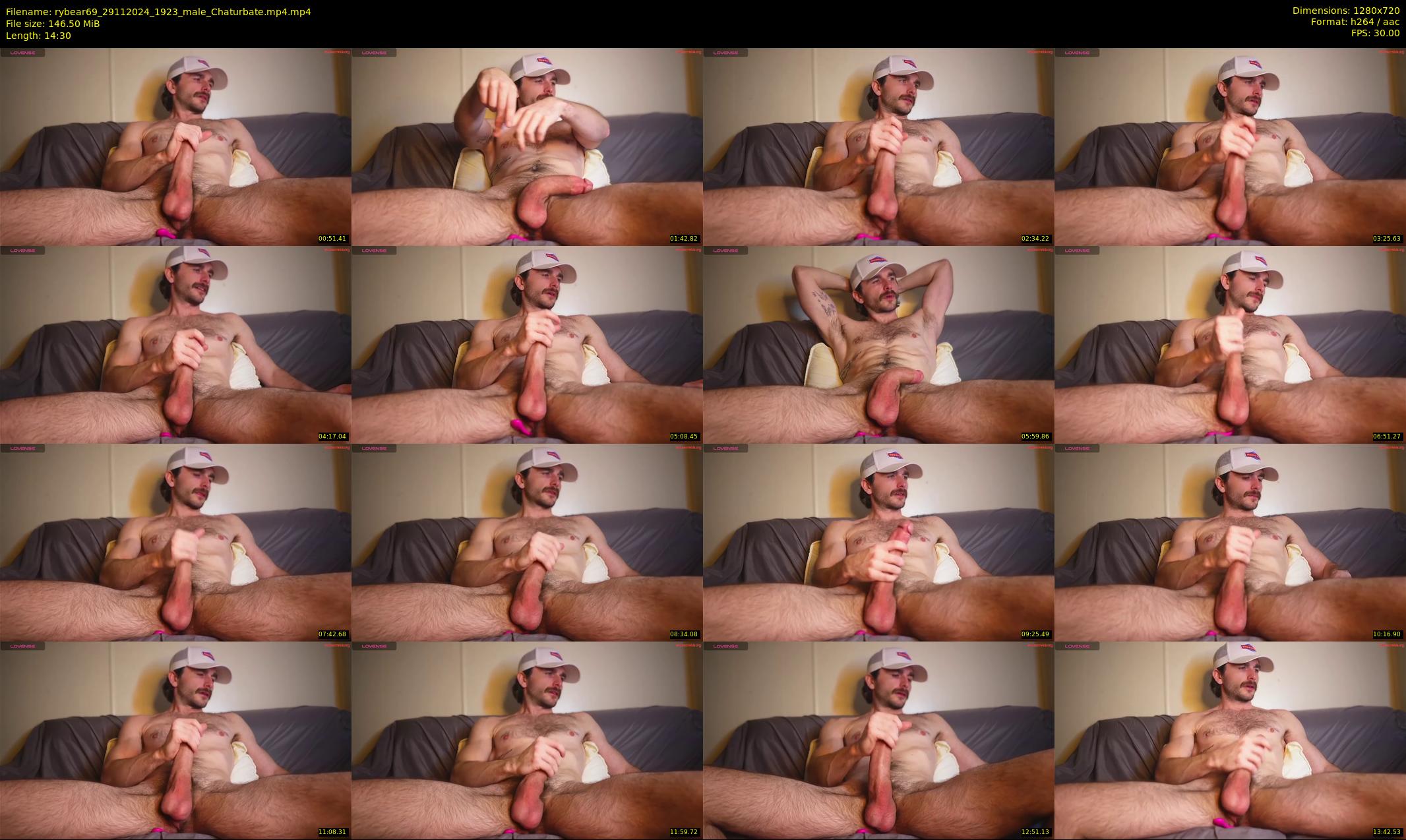 rybear69 — 15 minute Chaturbate male cam show recording, 720p, Nov 29, 2024