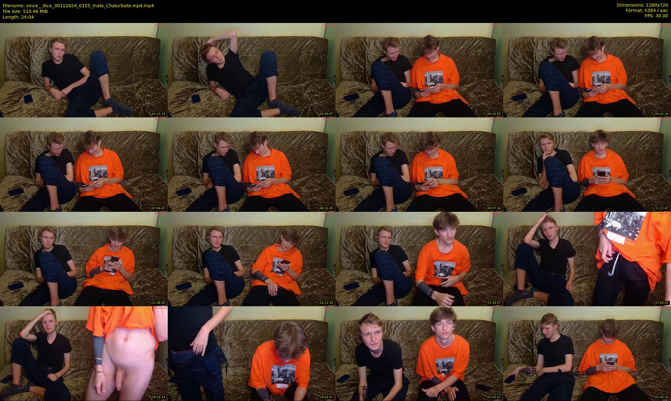 vince__dice — 25 minute Chaturbate male cam show recording, 720p, Nov 30, 2024