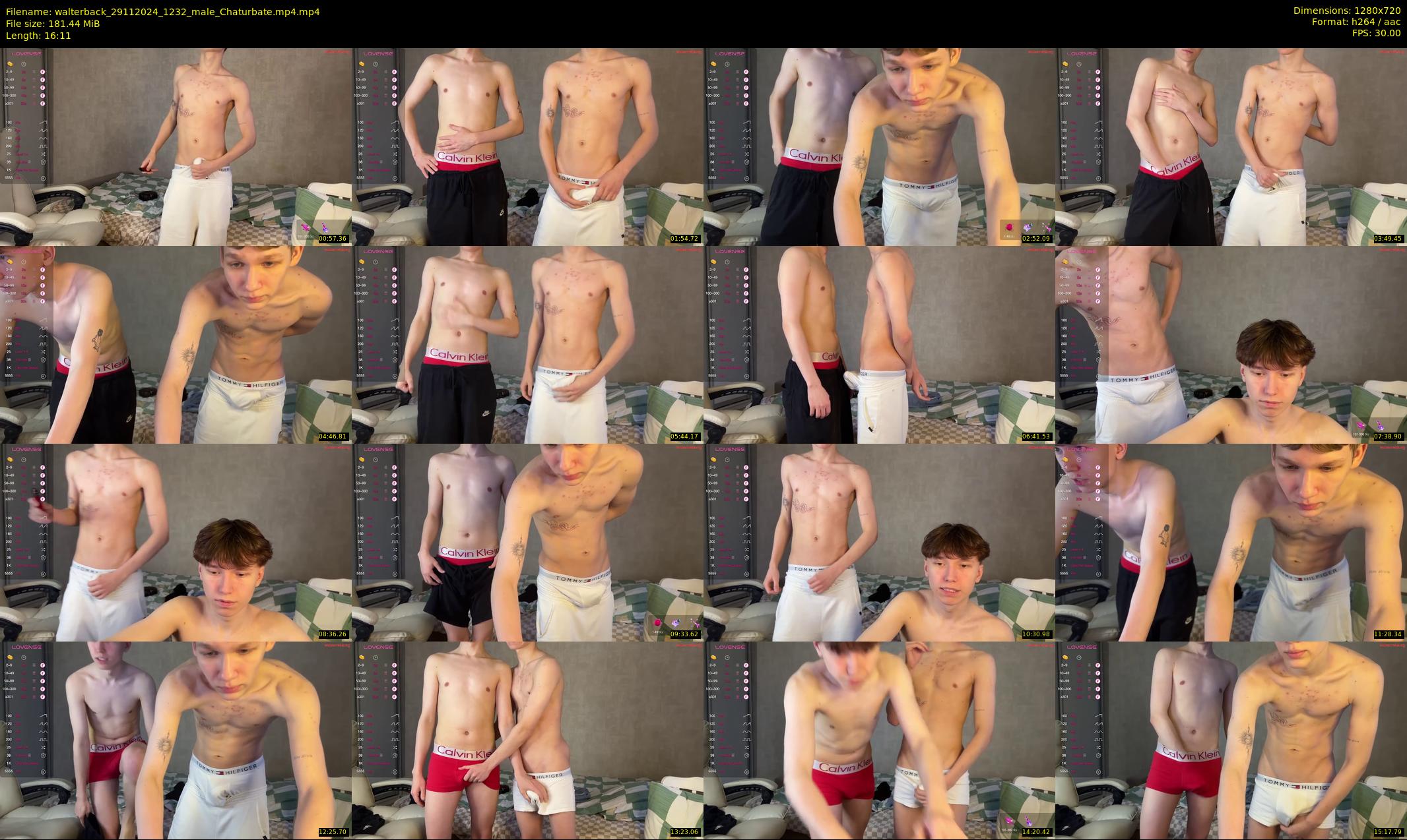 walterback — 17 minute Chaturbate male cam show recording, 720p, Nov 29, 2024